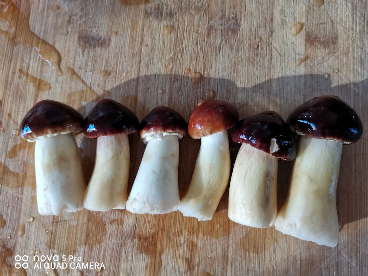 虫草菇清鸡汤