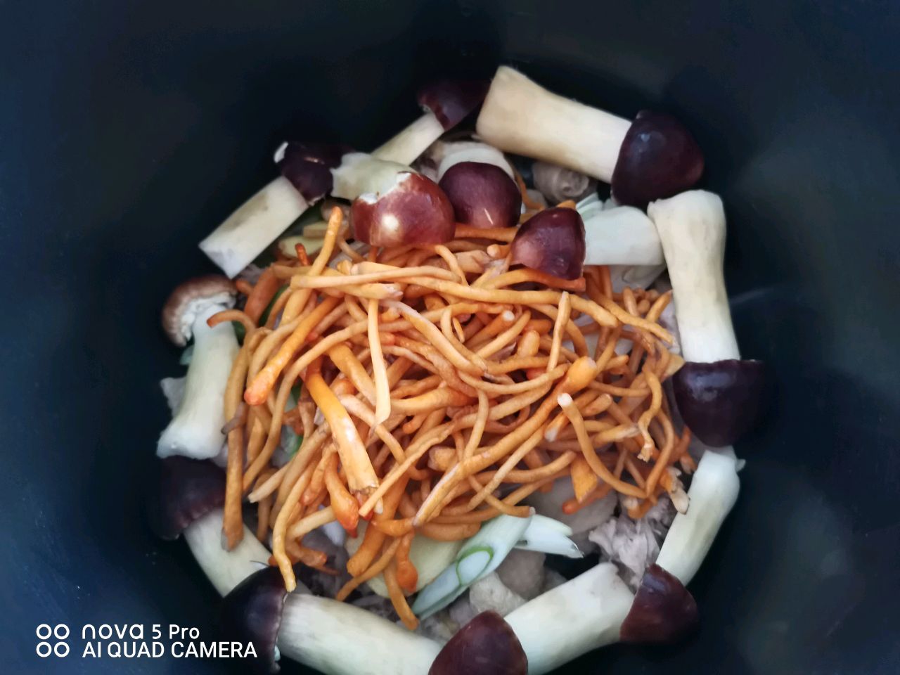 虫草菇清鸡汤