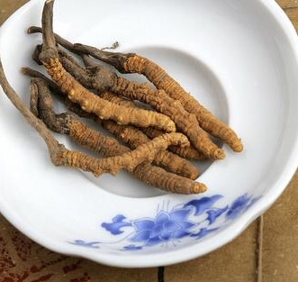 虫草排骨乌鸡汤