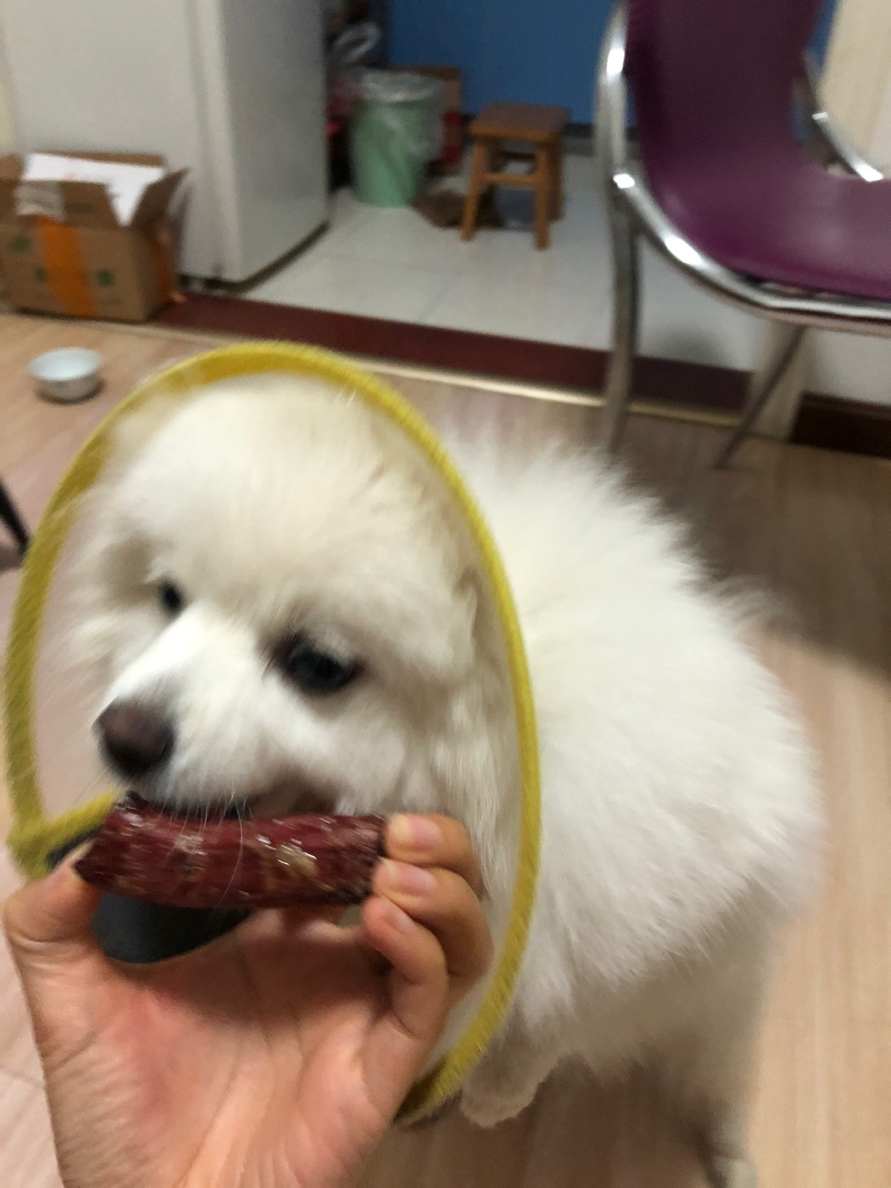 ［宠物零食］风干鸭脖