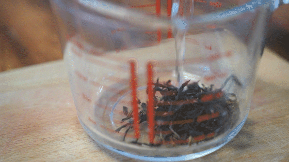 出摊柠檬船的柠檬茶冻，真料才够味！
