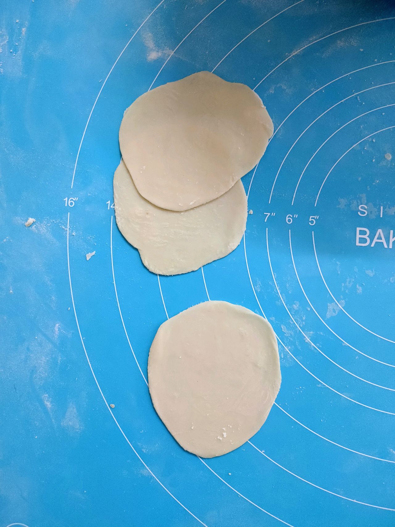 纯素手工饺子