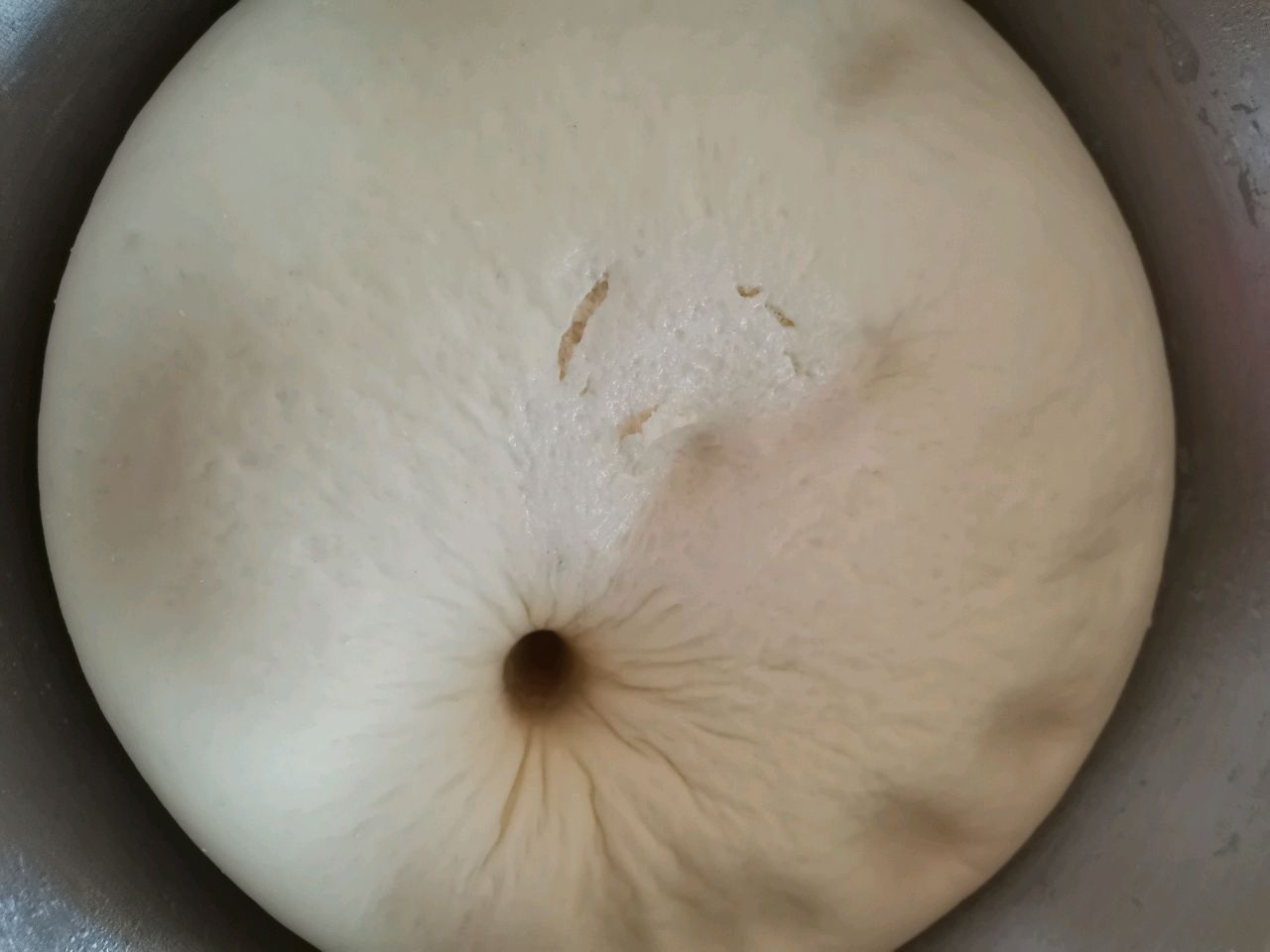 纯素馅菜包