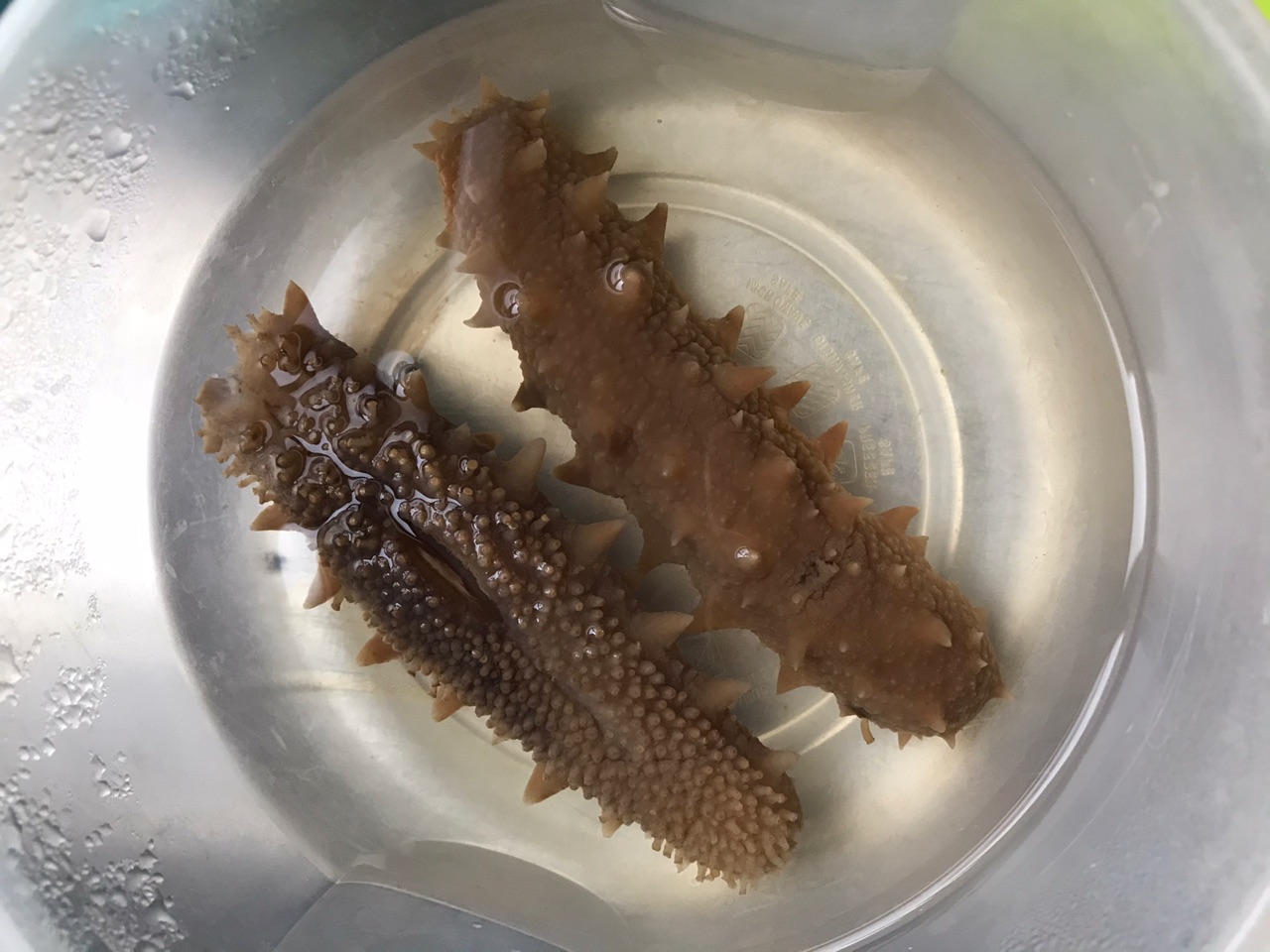 葱爆海参