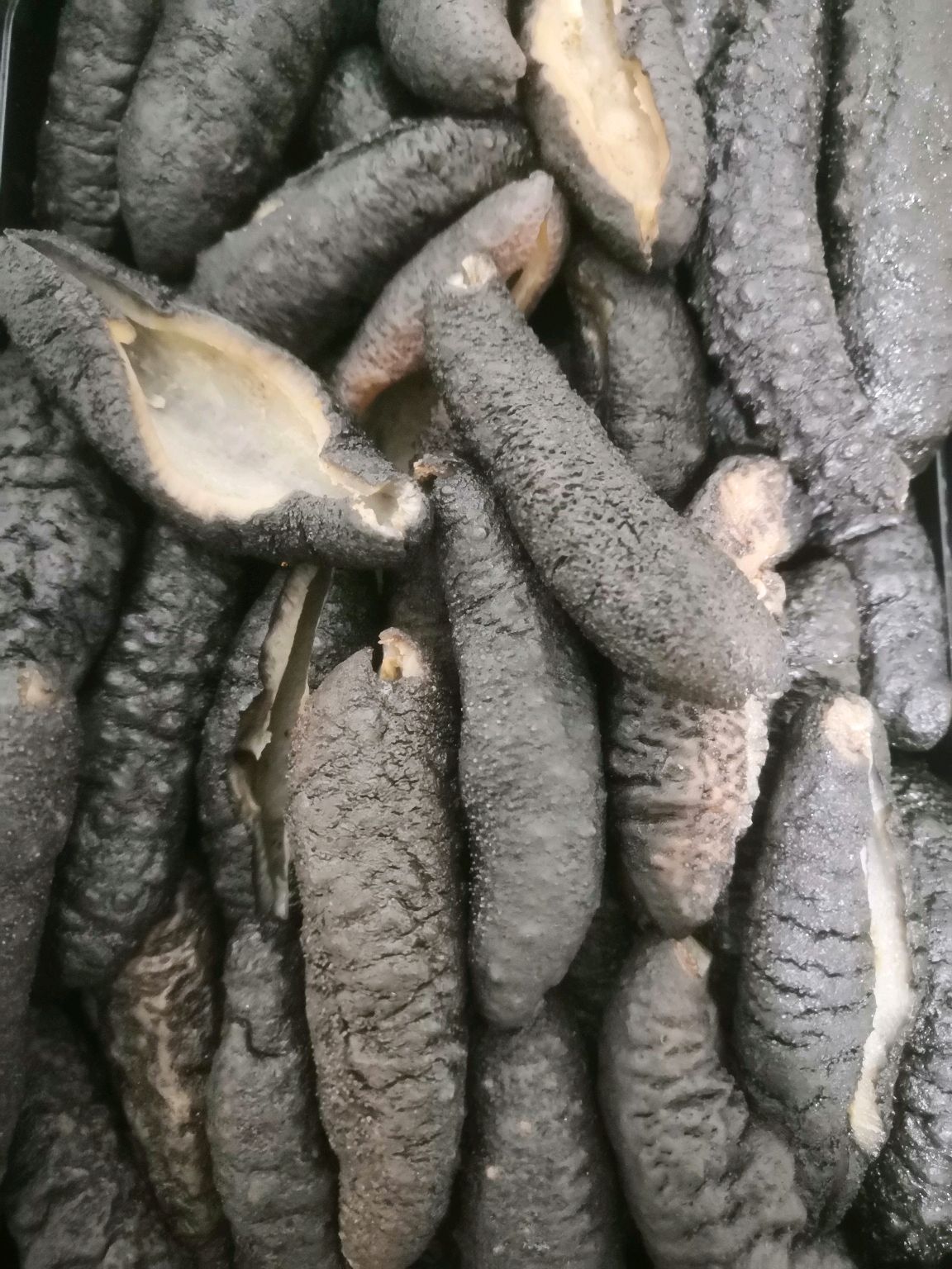 葱烧海参