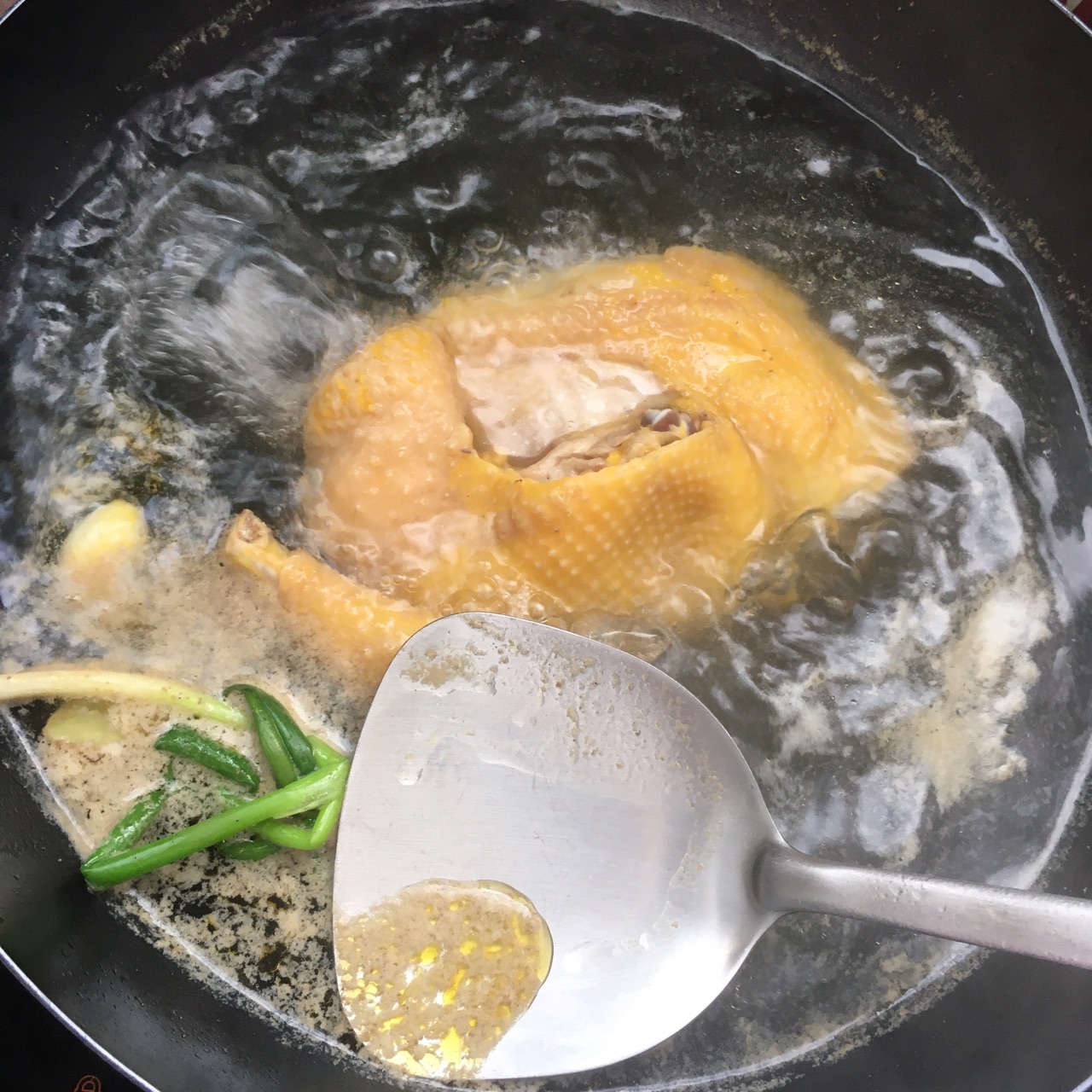 葱油鸡