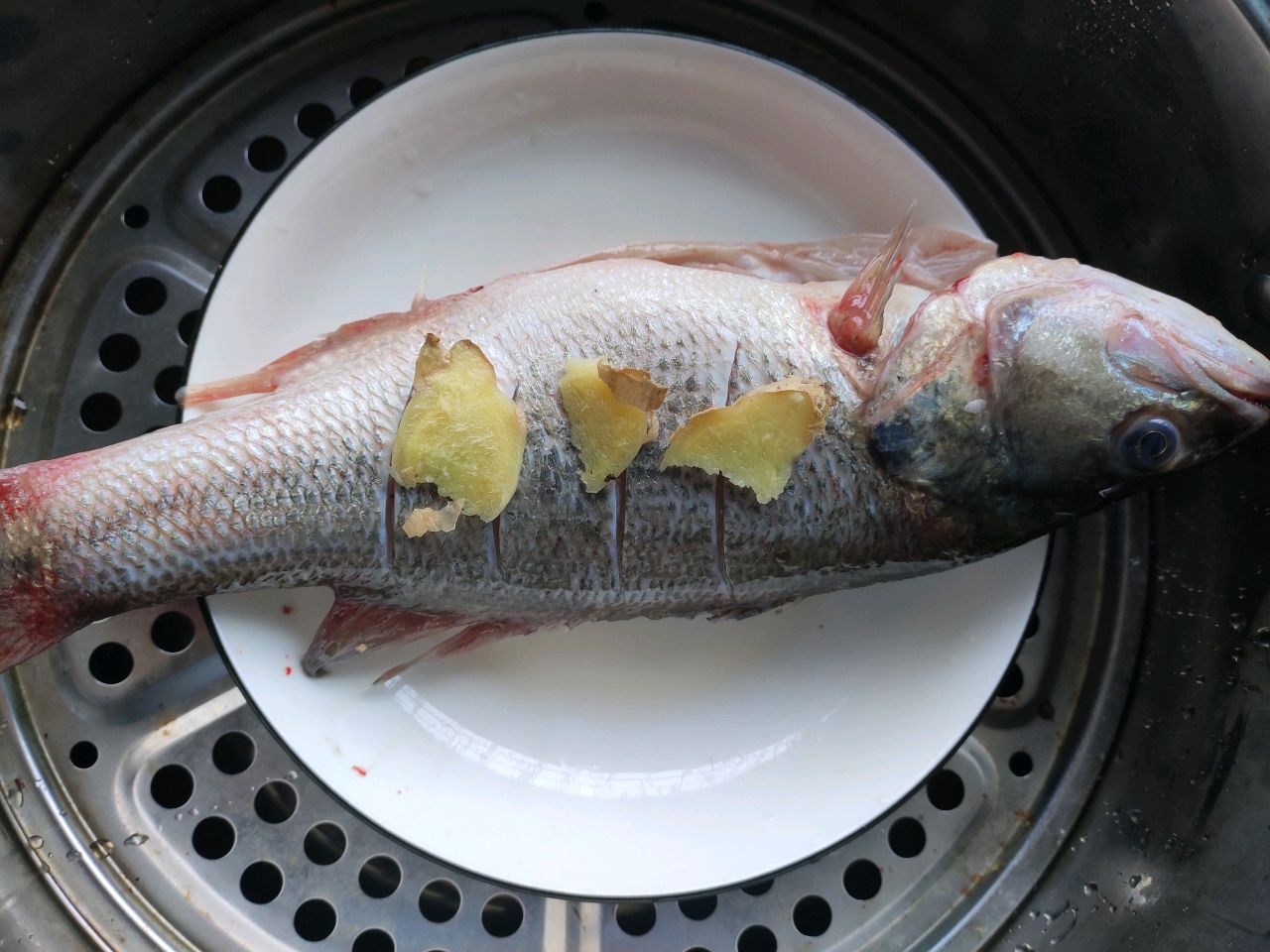 葱油鲈鱼
