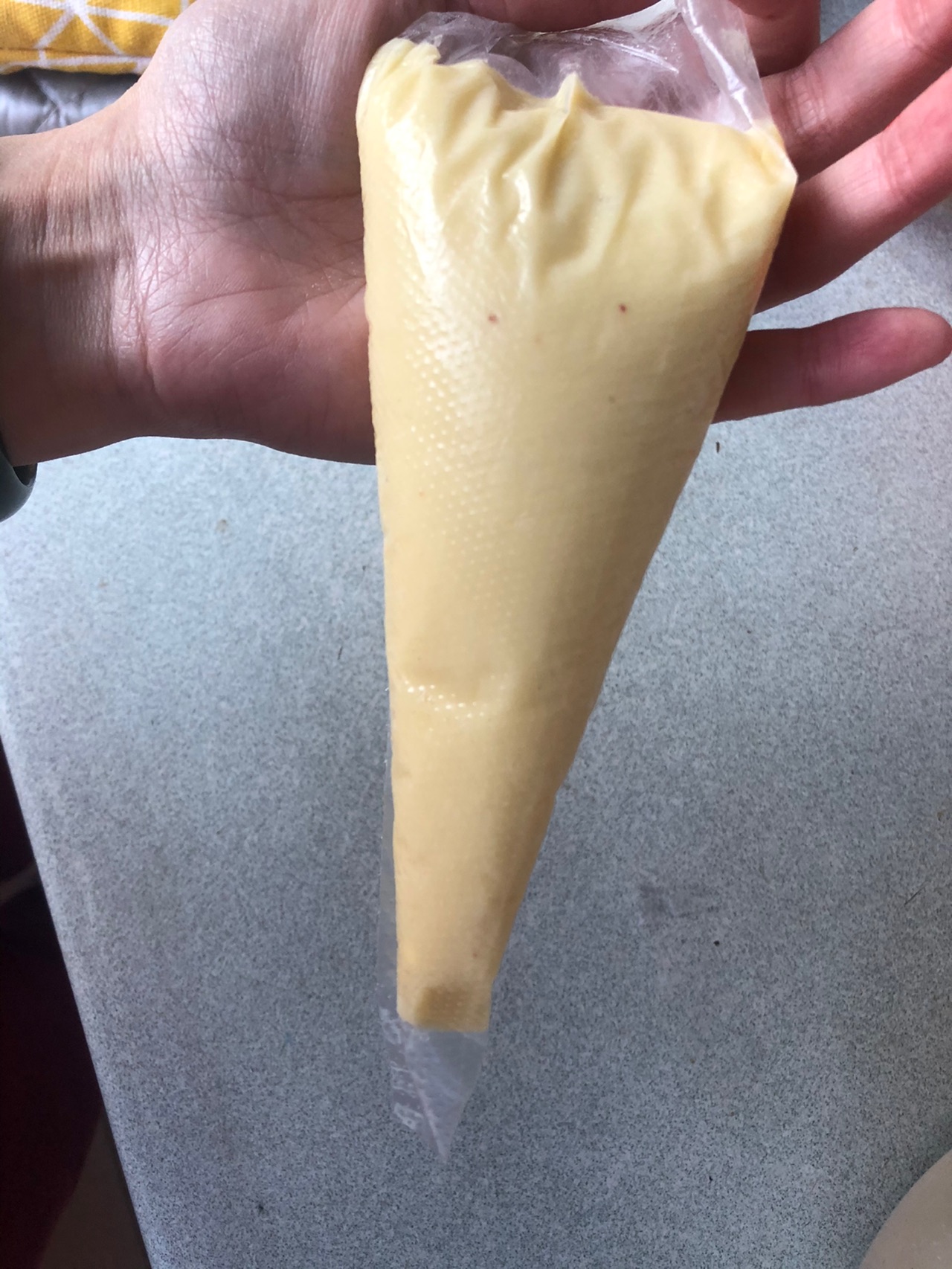 脆到没朋友的罗马盾牌