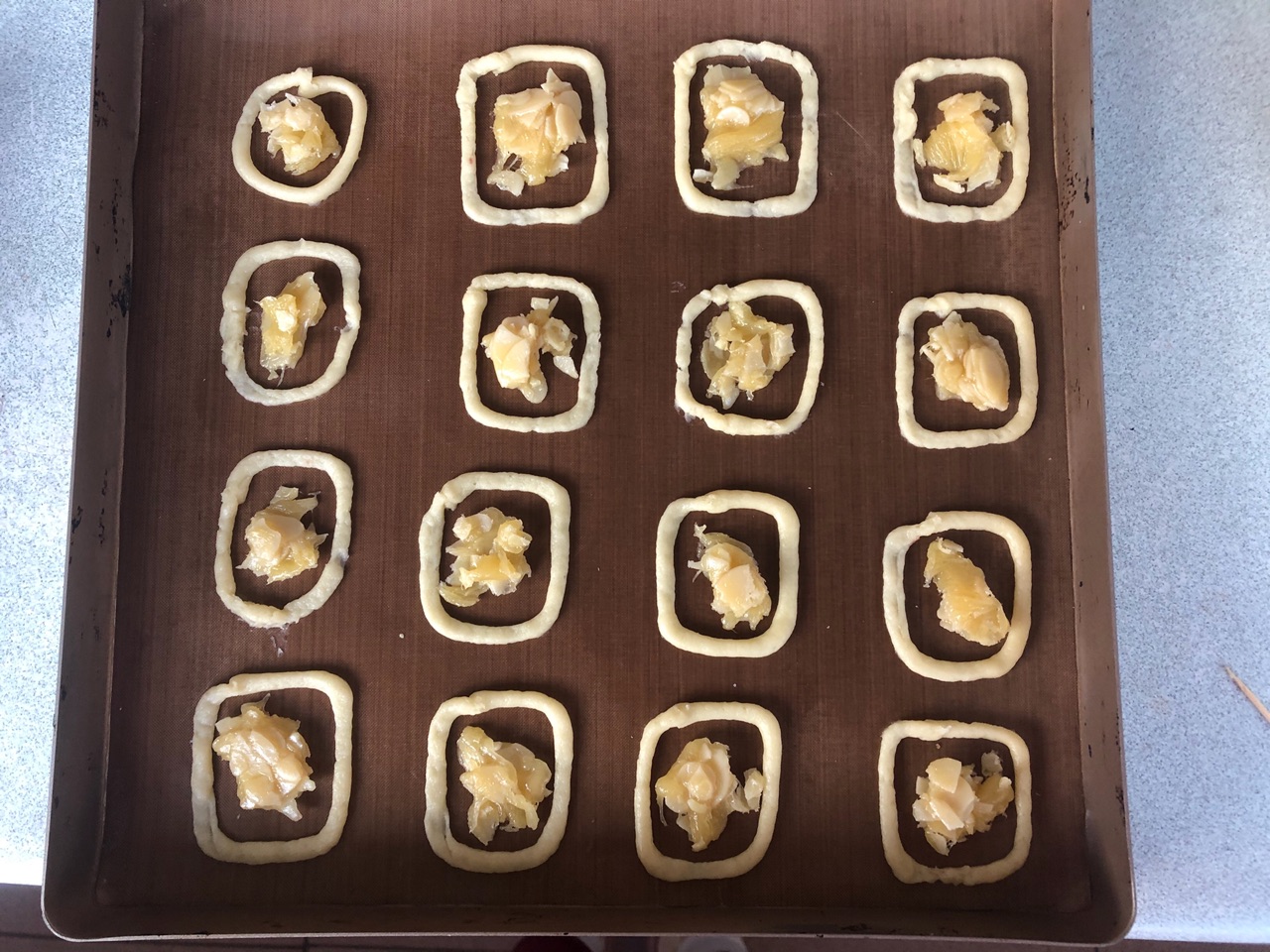 脆到没朋友的罗马盾牌