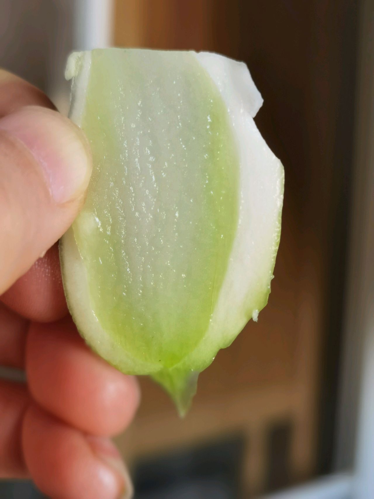 脆酸儿菜