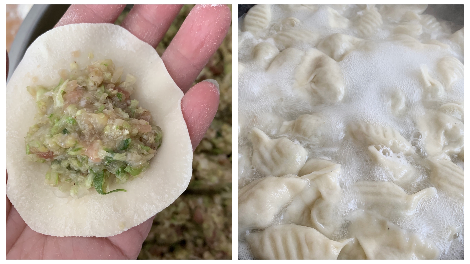 大白菜猪肉水饺