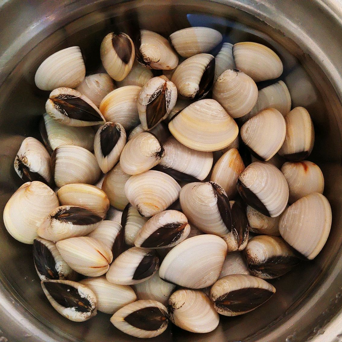 大镬酸菜鱼