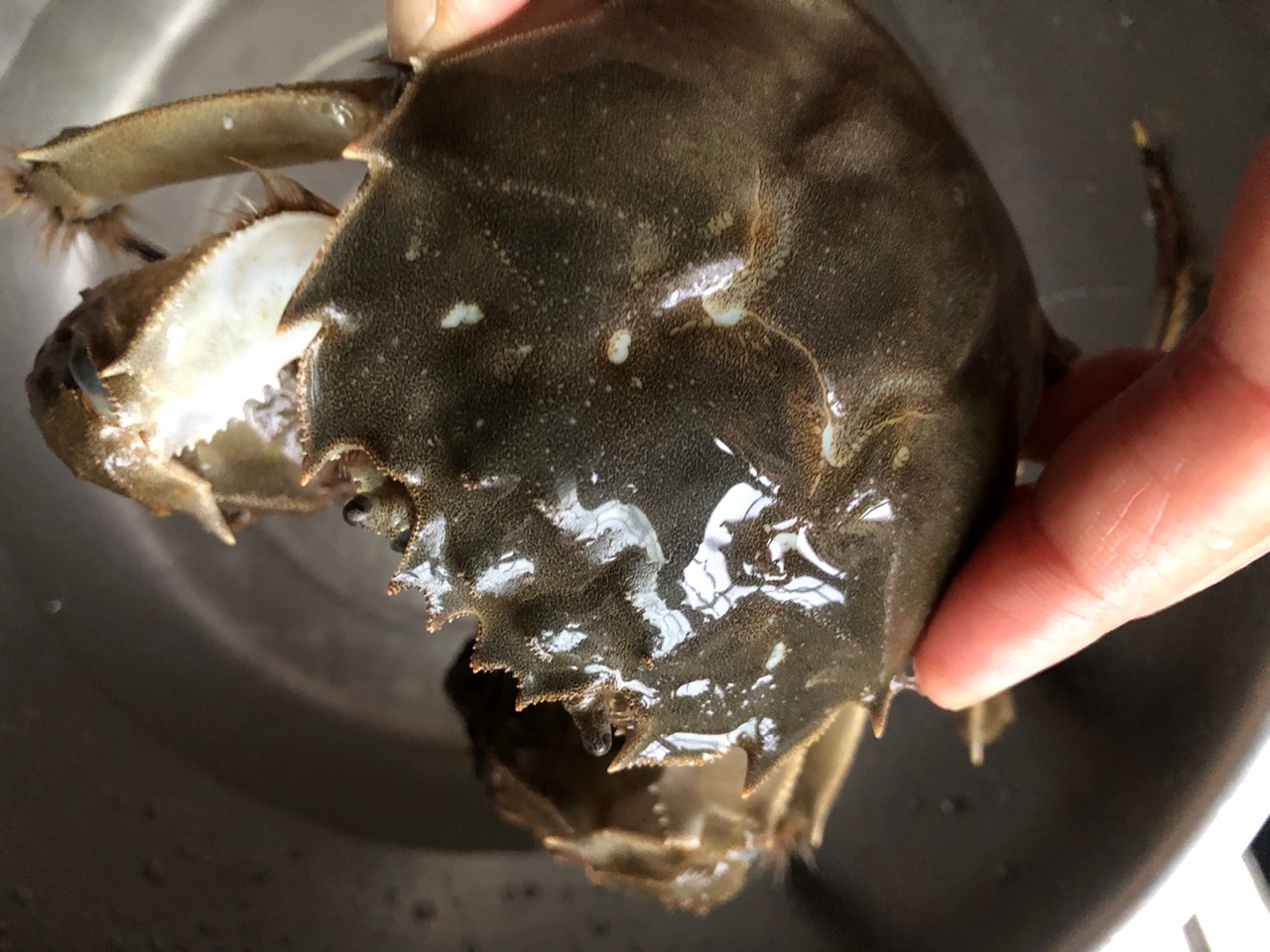 大闸蟹炒年糕