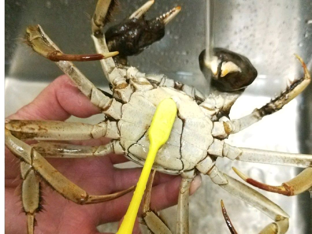 大闸蟹煮酒