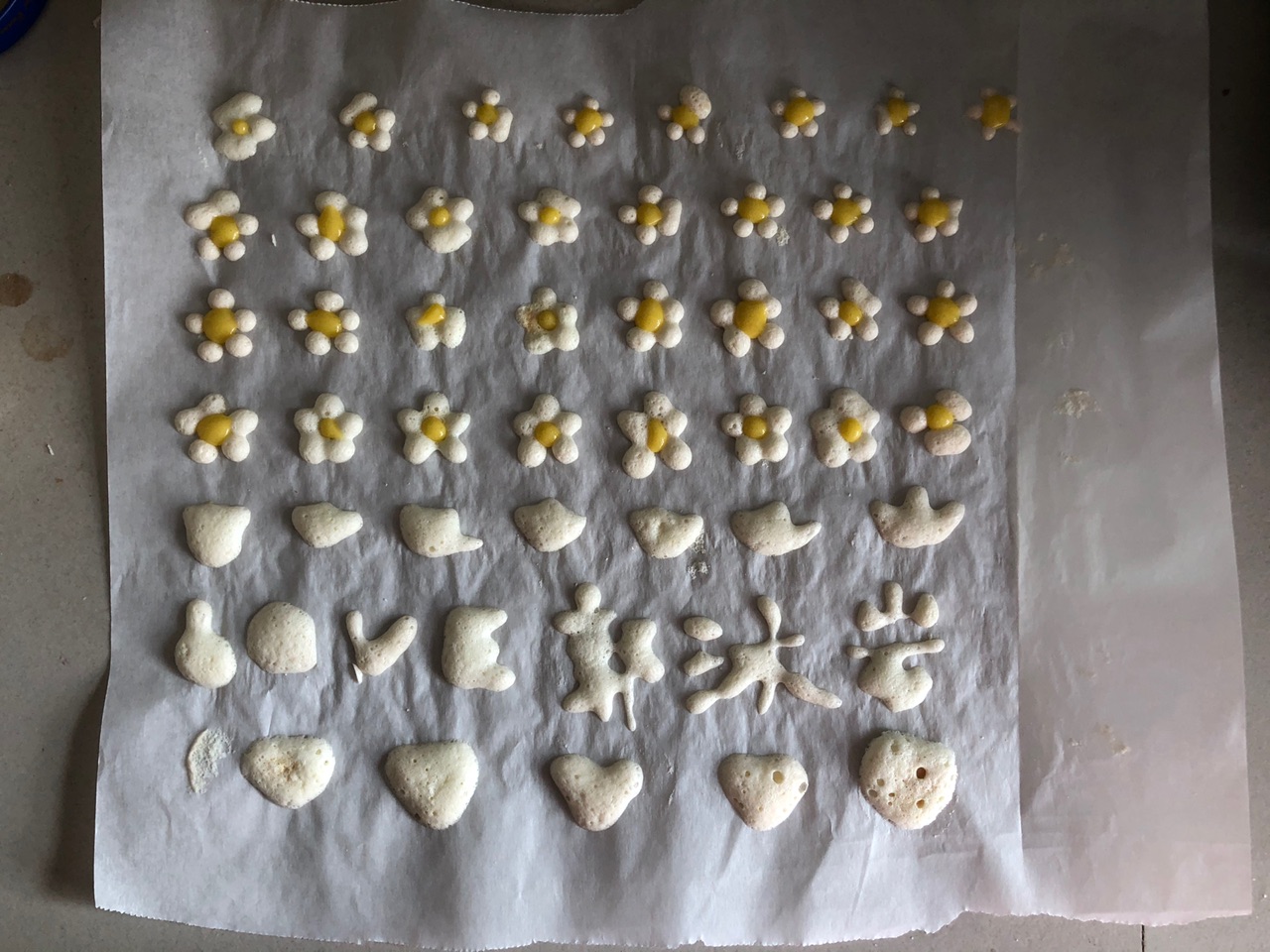 蛋白溶豆