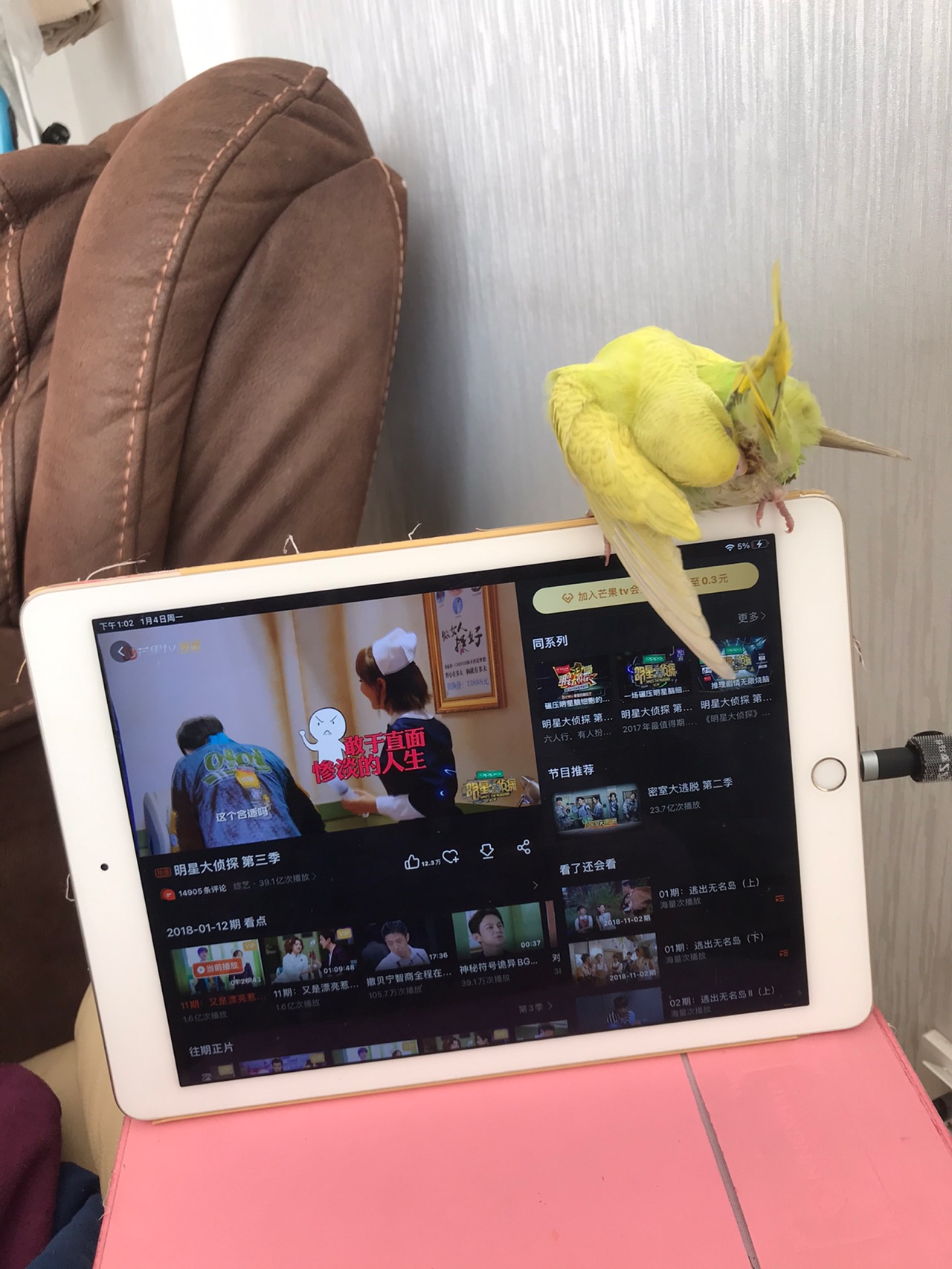 蛋糕胚