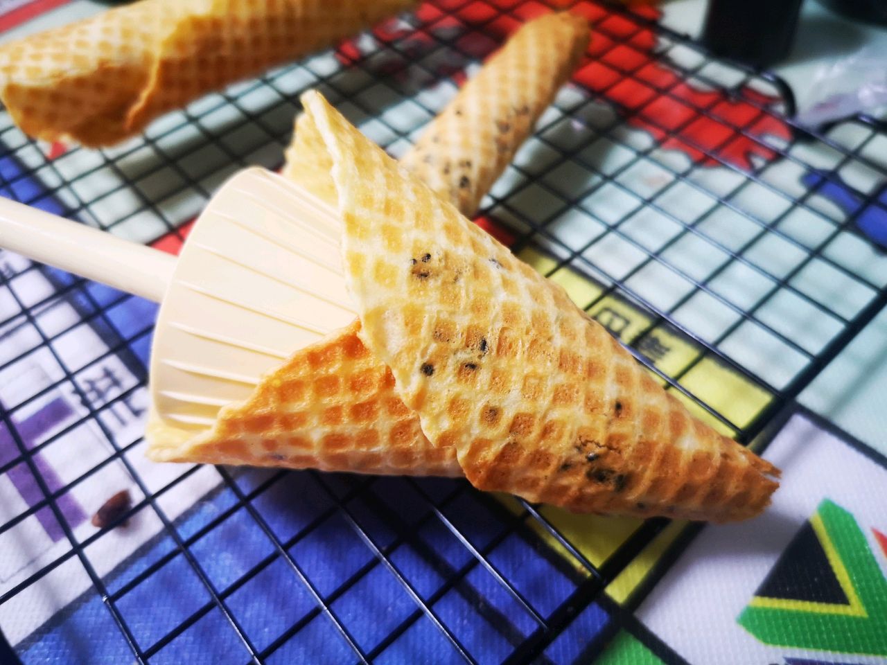 蛋卷儿