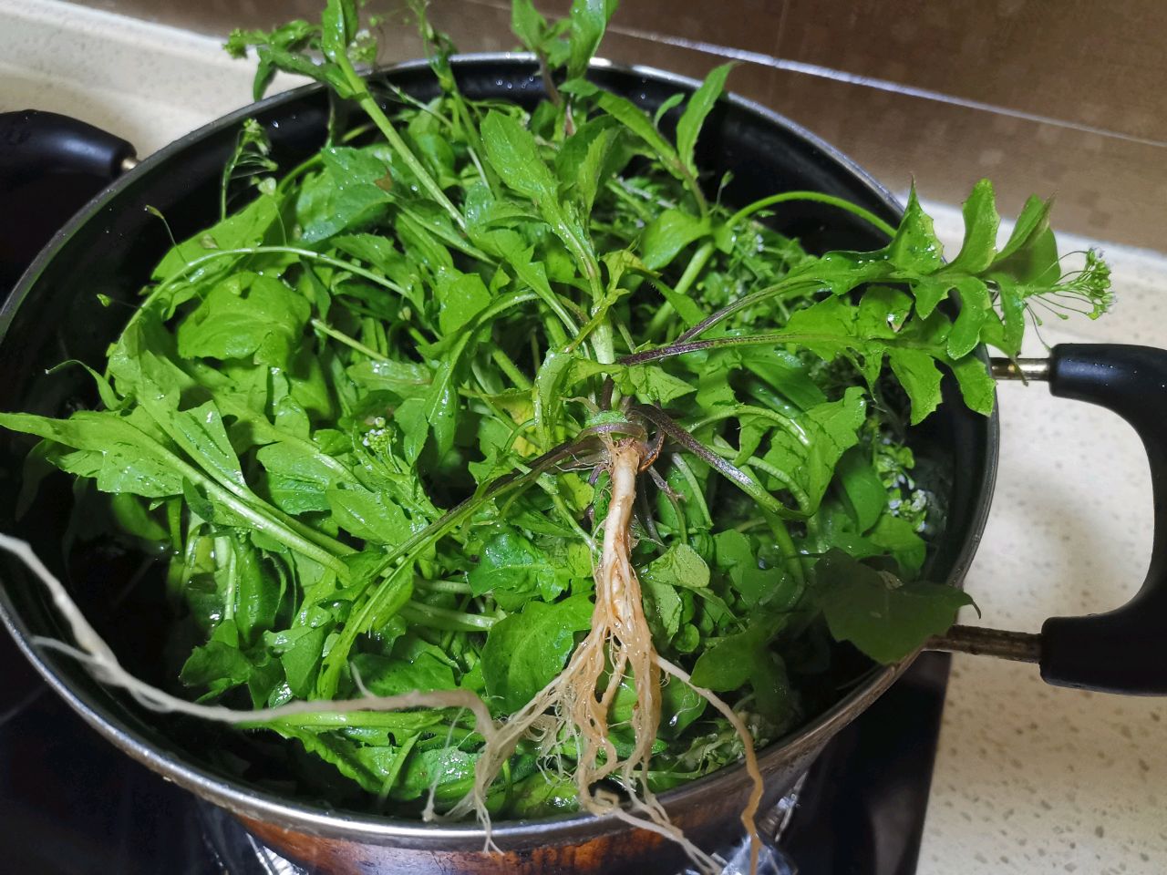 地菜煮蛋