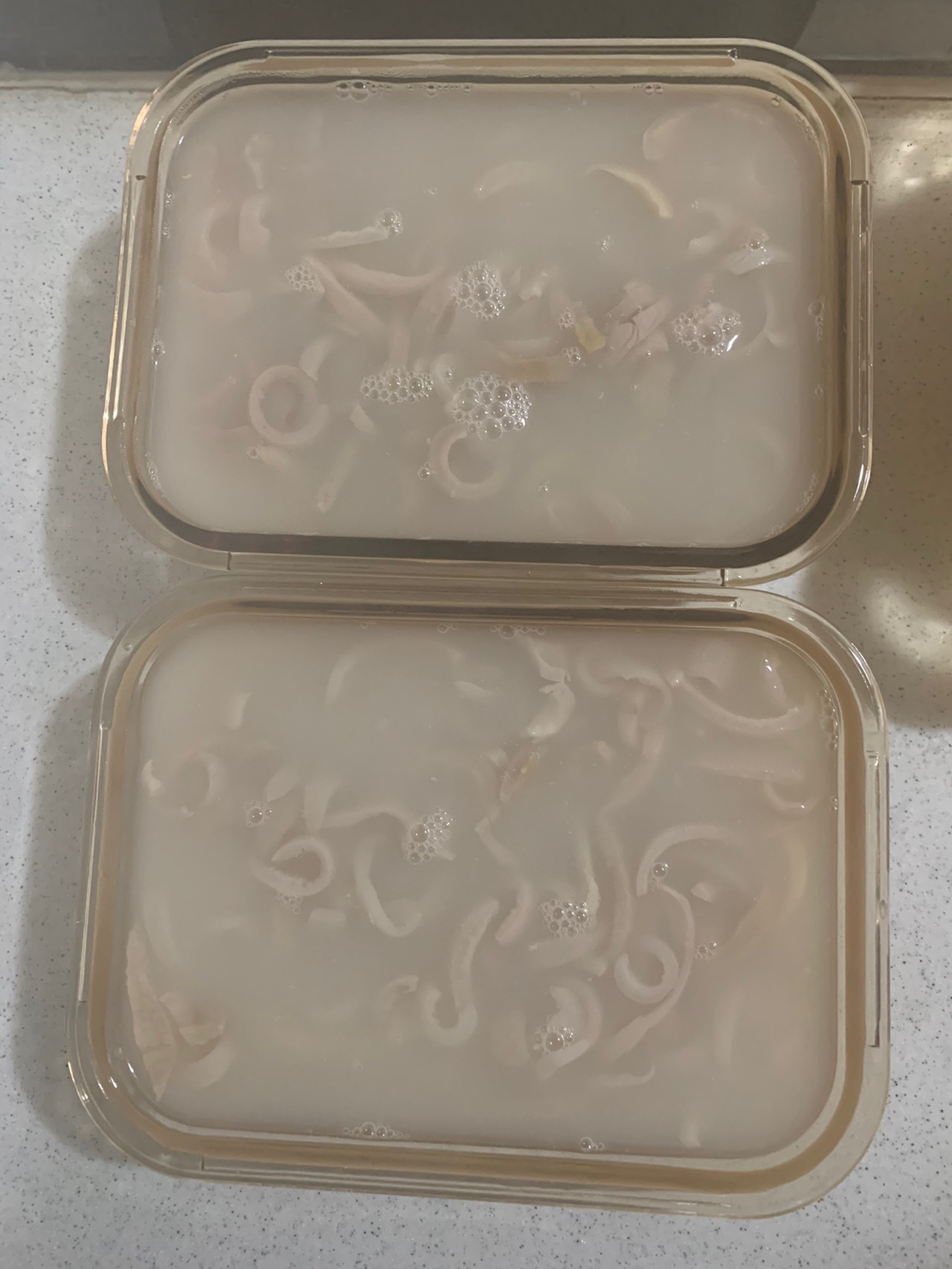 东北清冻
