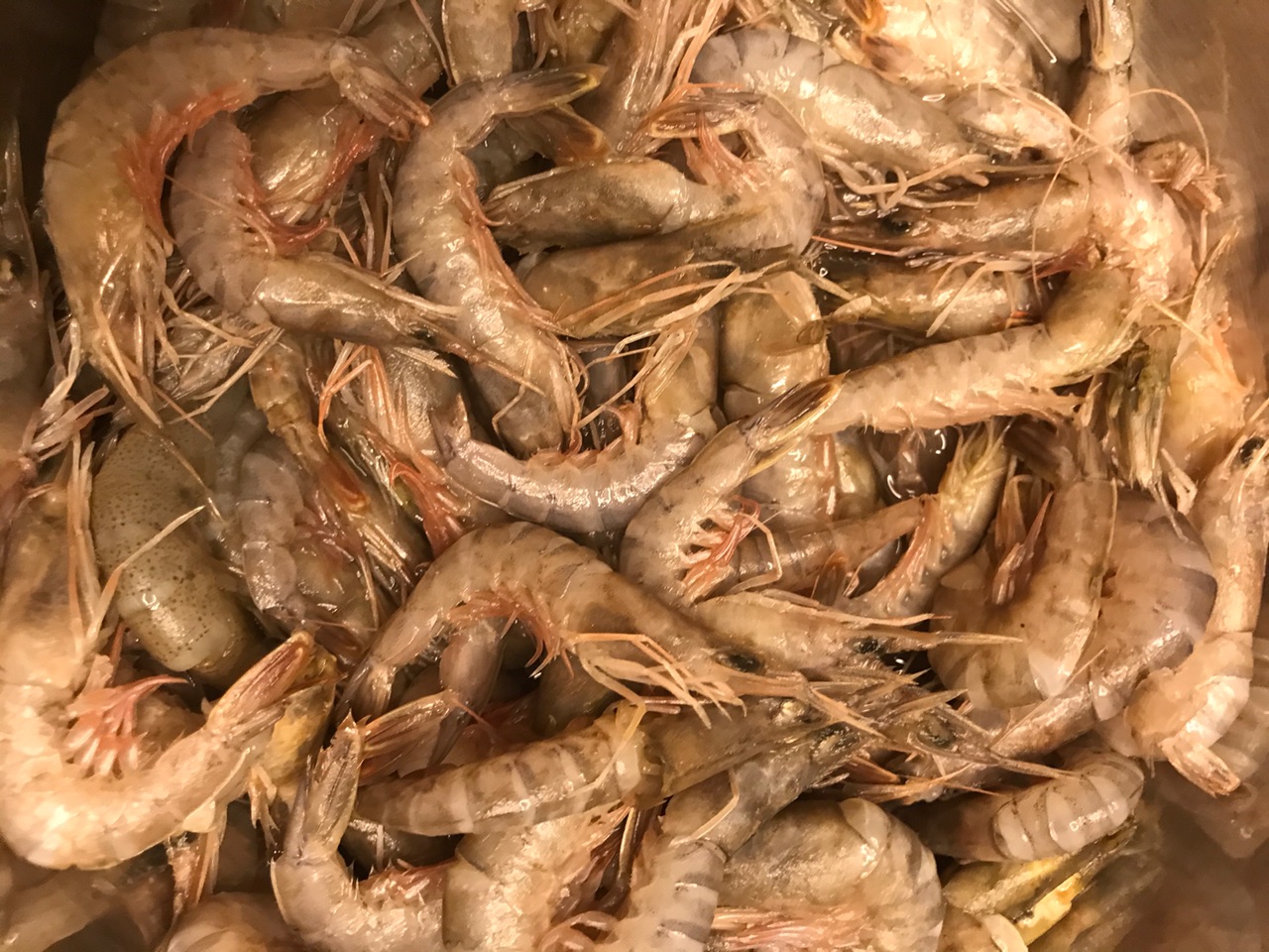 冬日餐桌上的彩色海鲜水饺