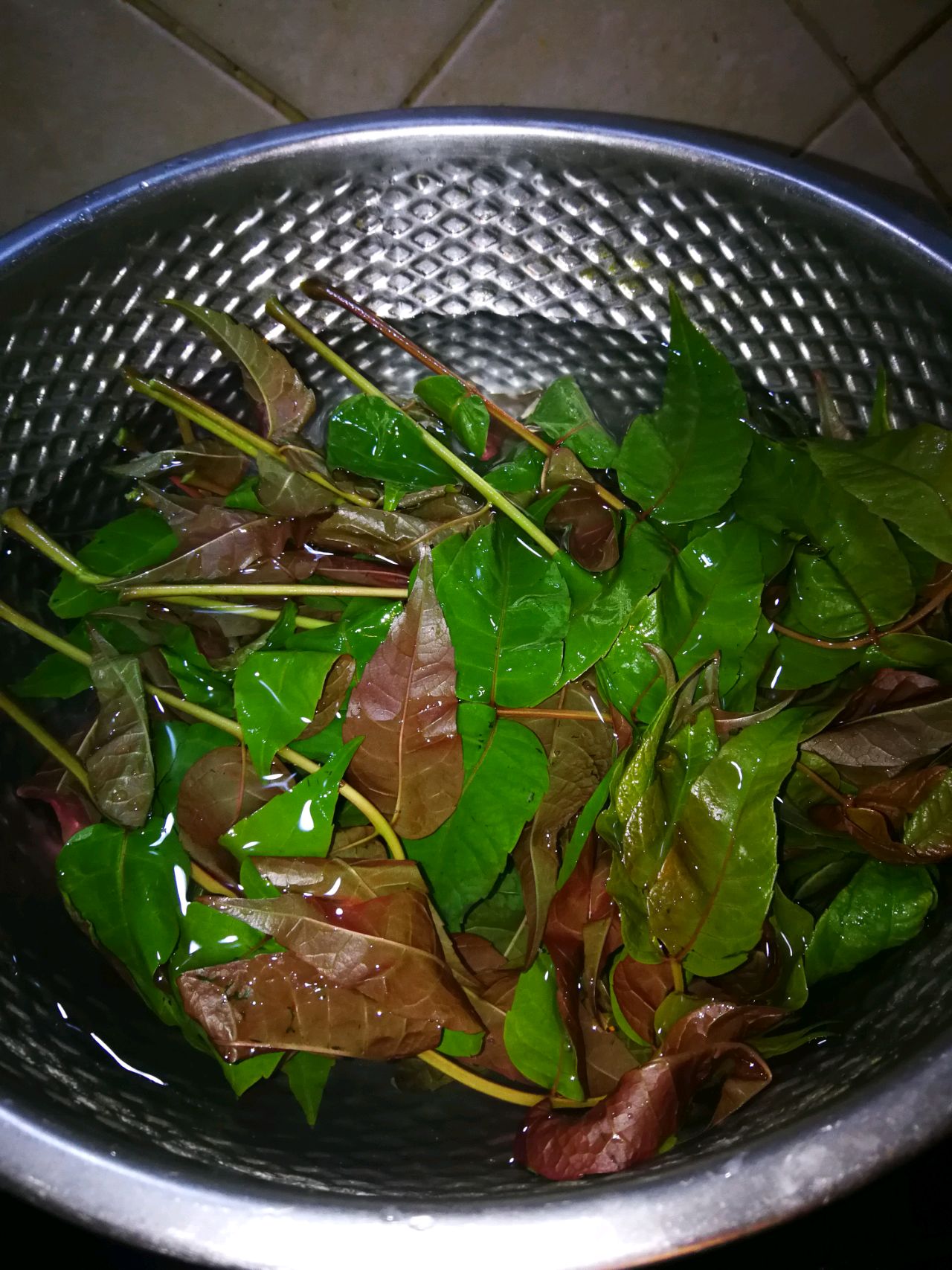 冬日的凉拌香椿