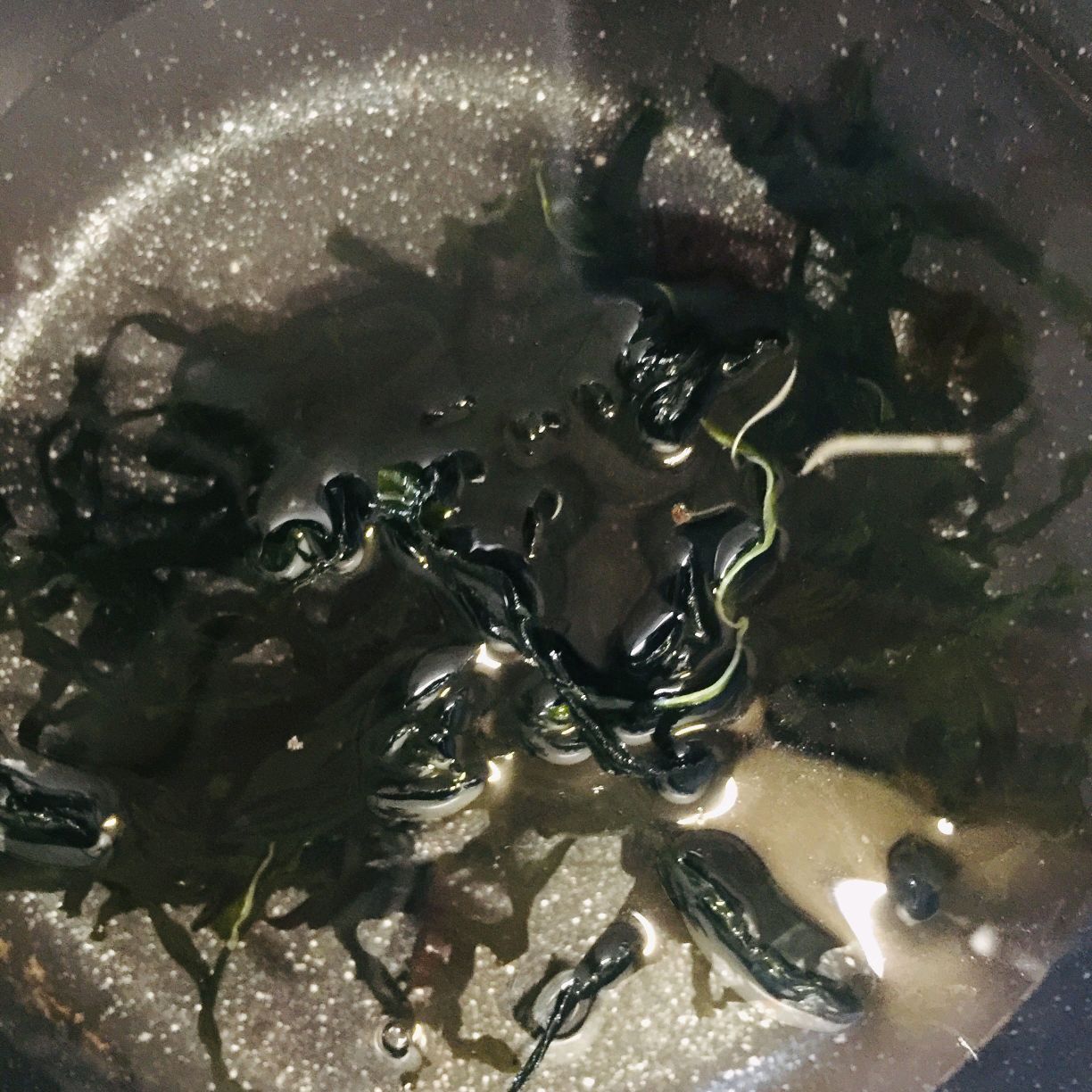 冬日懒人关东煮