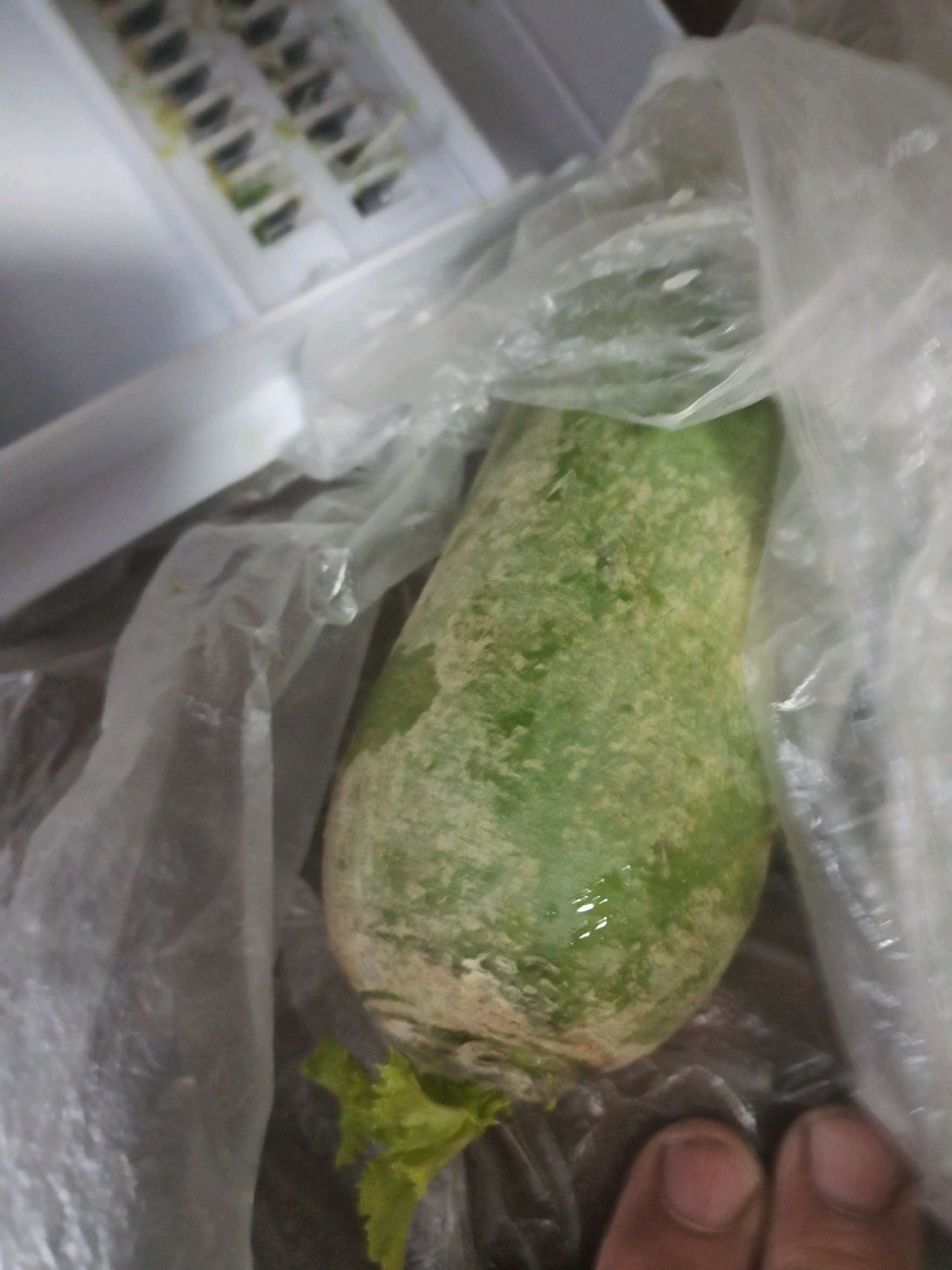 豆瓣酱萝卜丝炒细粉