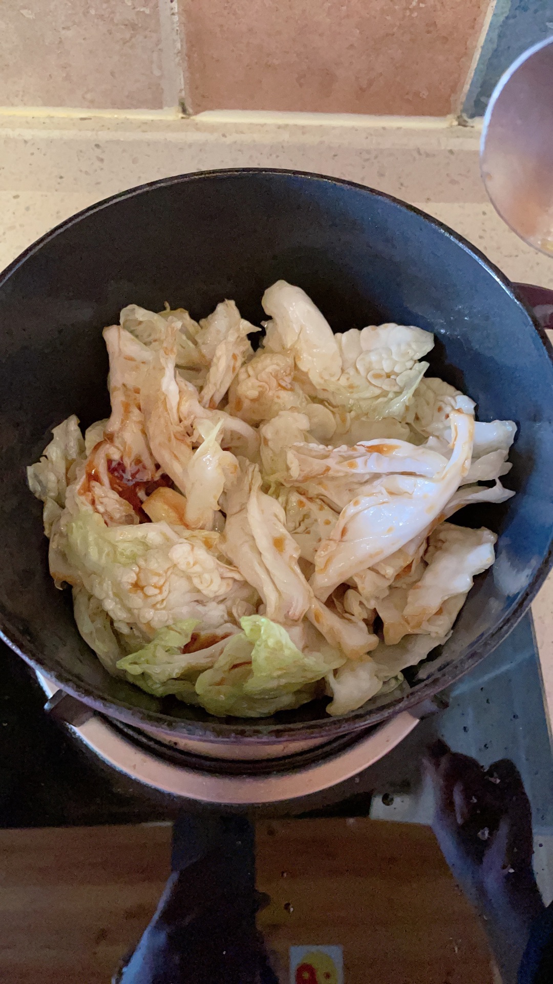 豆腐白菜嗜粉条