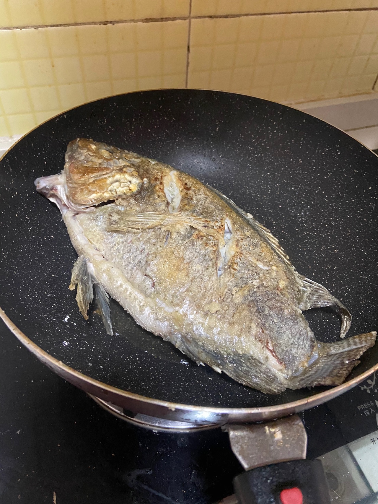 豆酱非洲鲫鱼