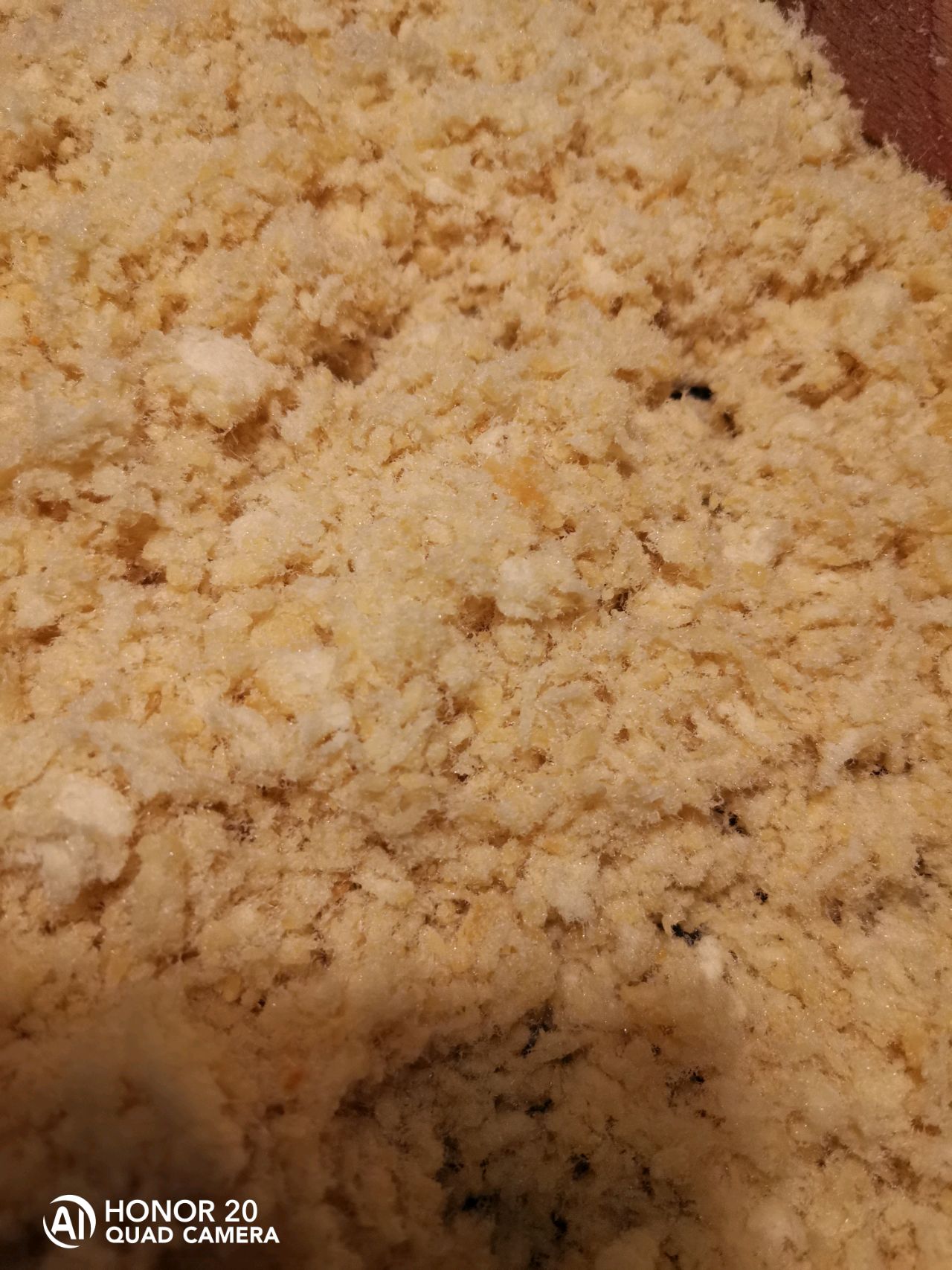 豆浆机版肉松