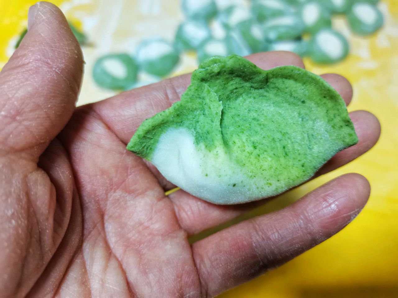 豆角猪肉馅翡翠饺子