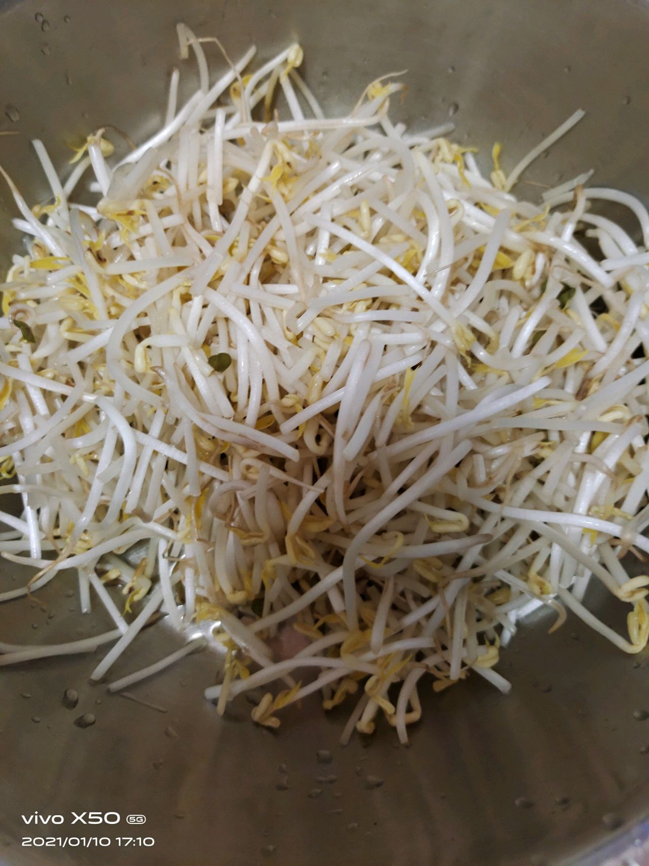 豆芽炒韭菜
