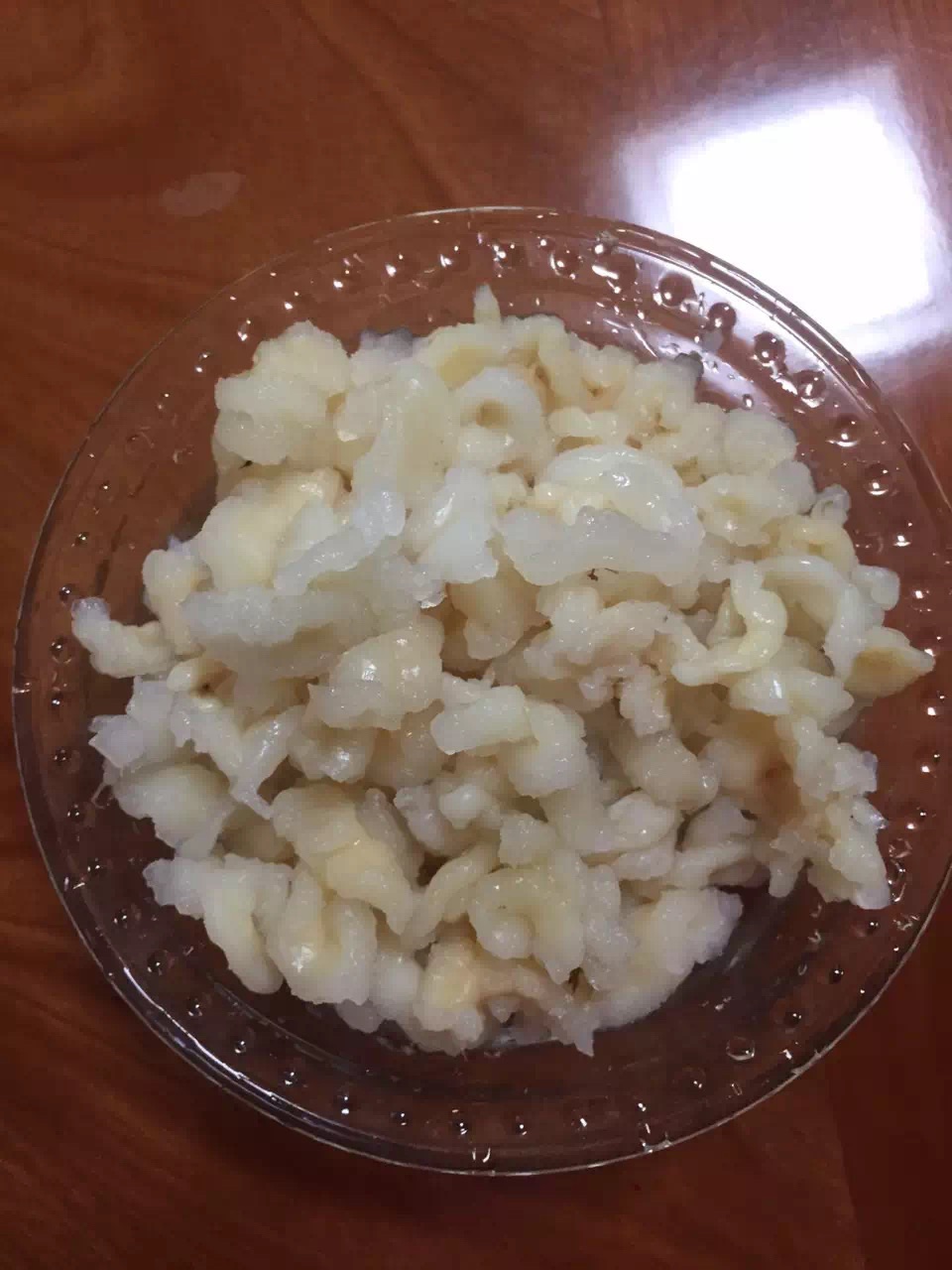 炖雪鸽