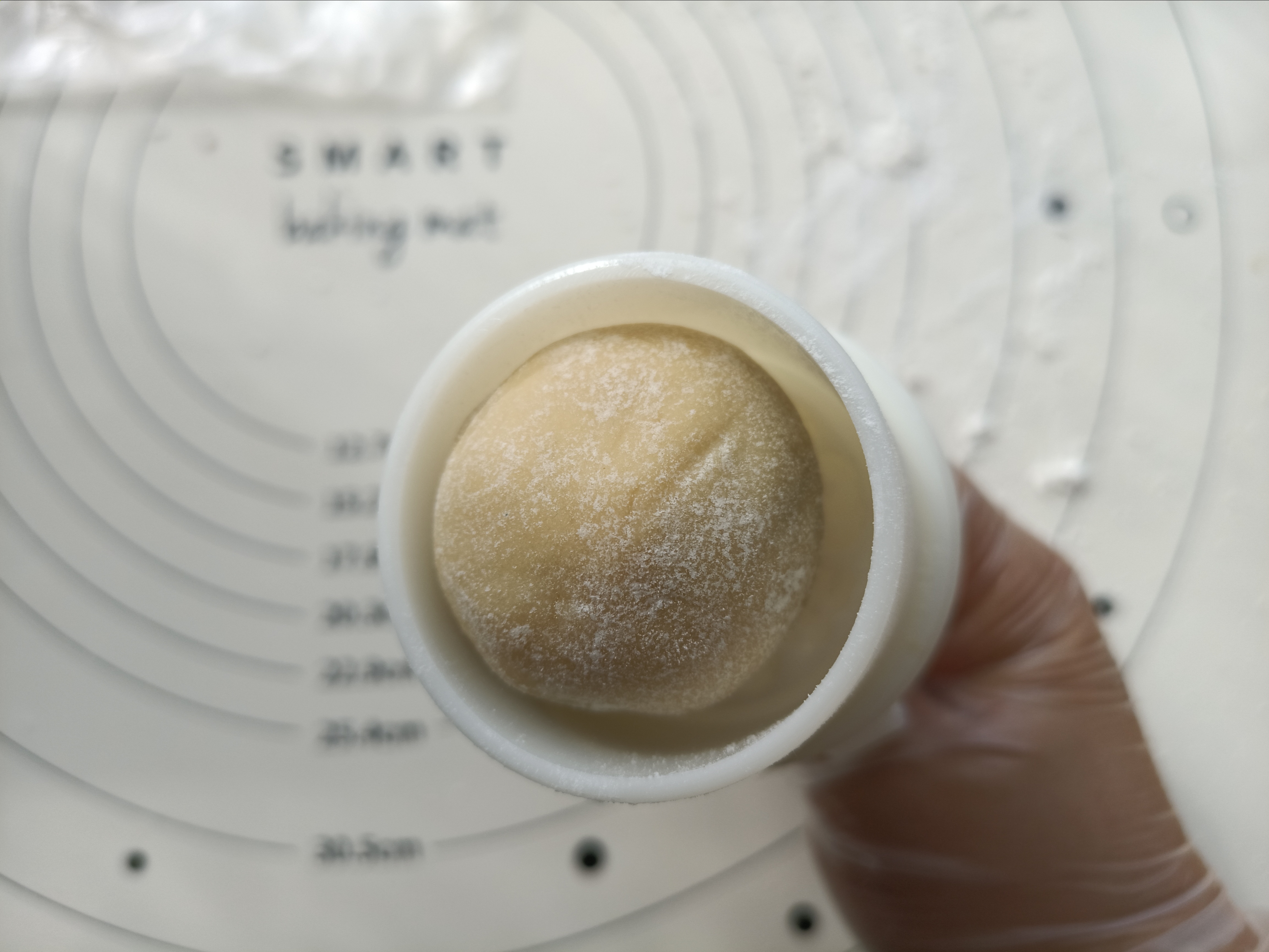 发财豆沙月饼