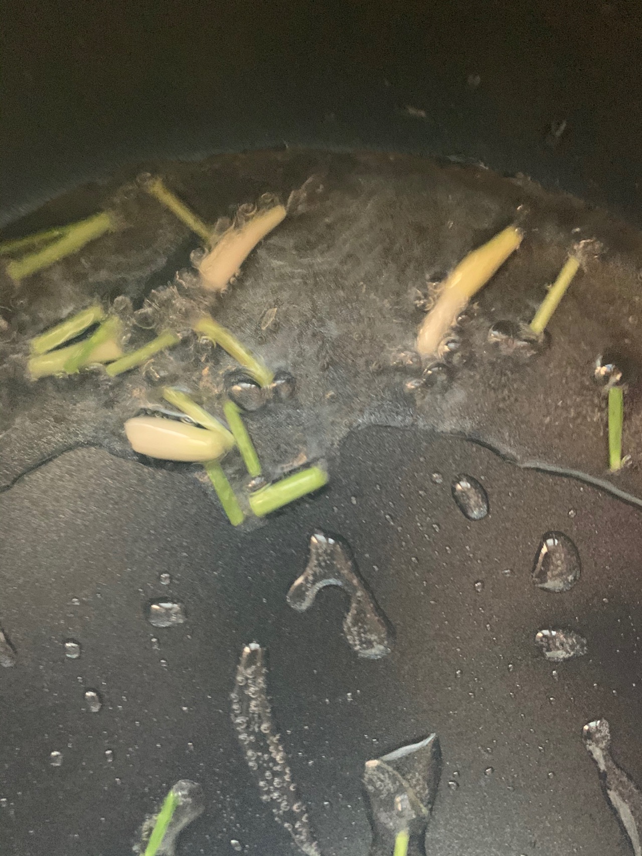 番茄牛骨乌冬面