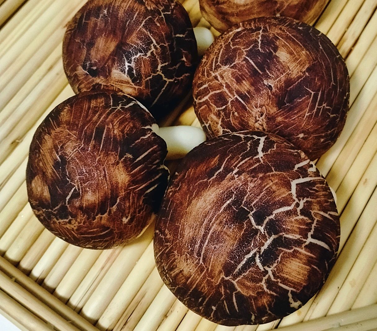 仿真香菇包