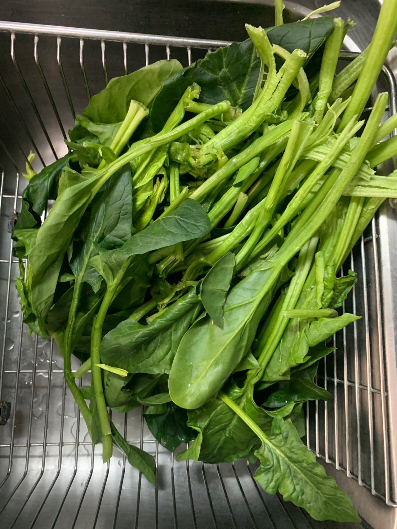 翡翠饺子好吃又好看