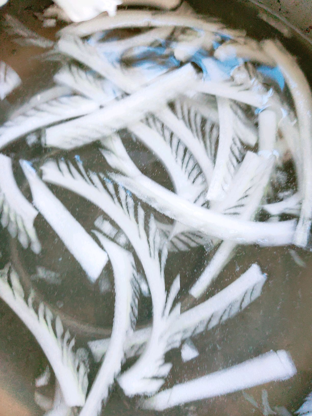 凤尾白菜