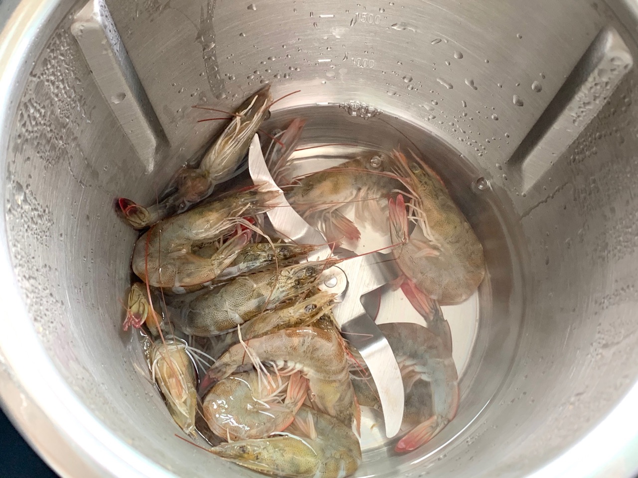 富贵灯笼虾