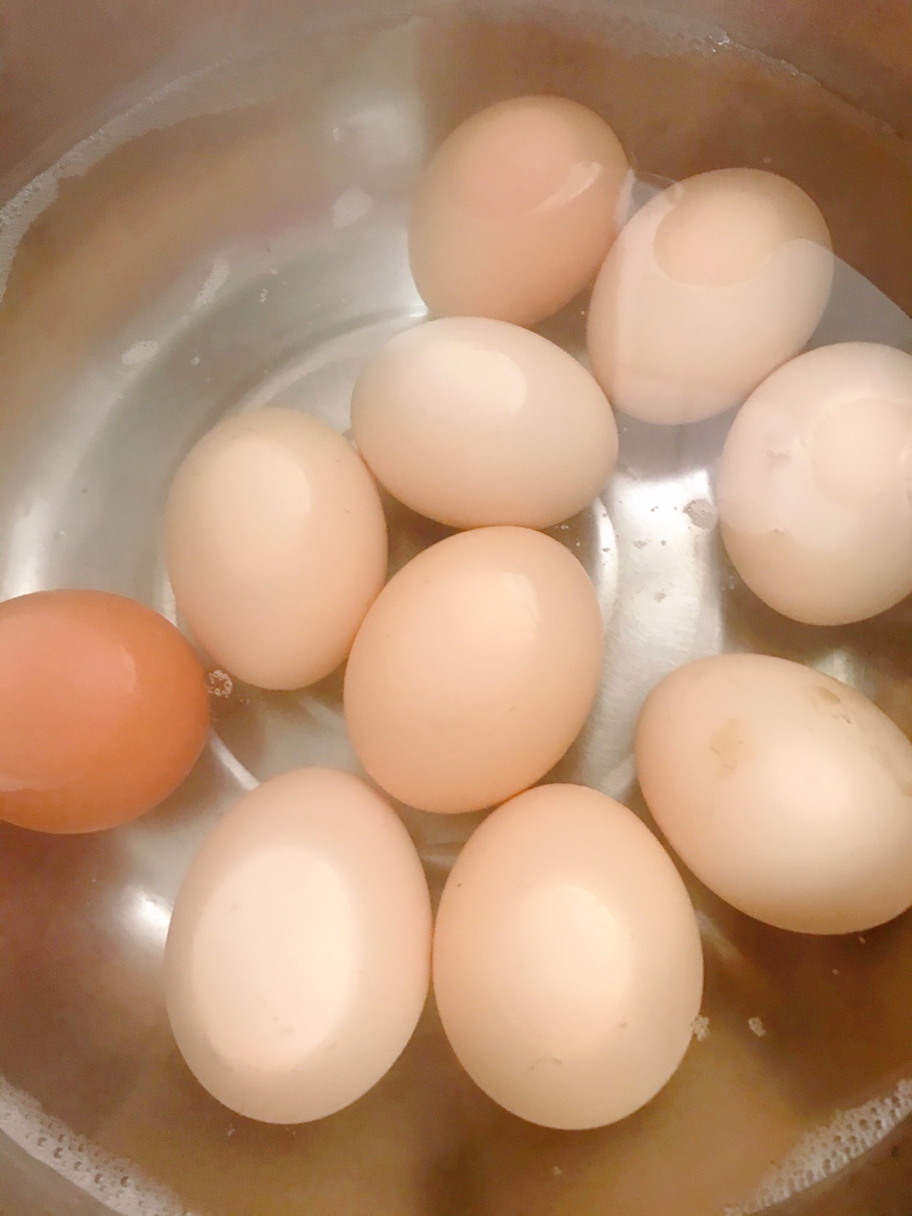 腐乳红烧排骨