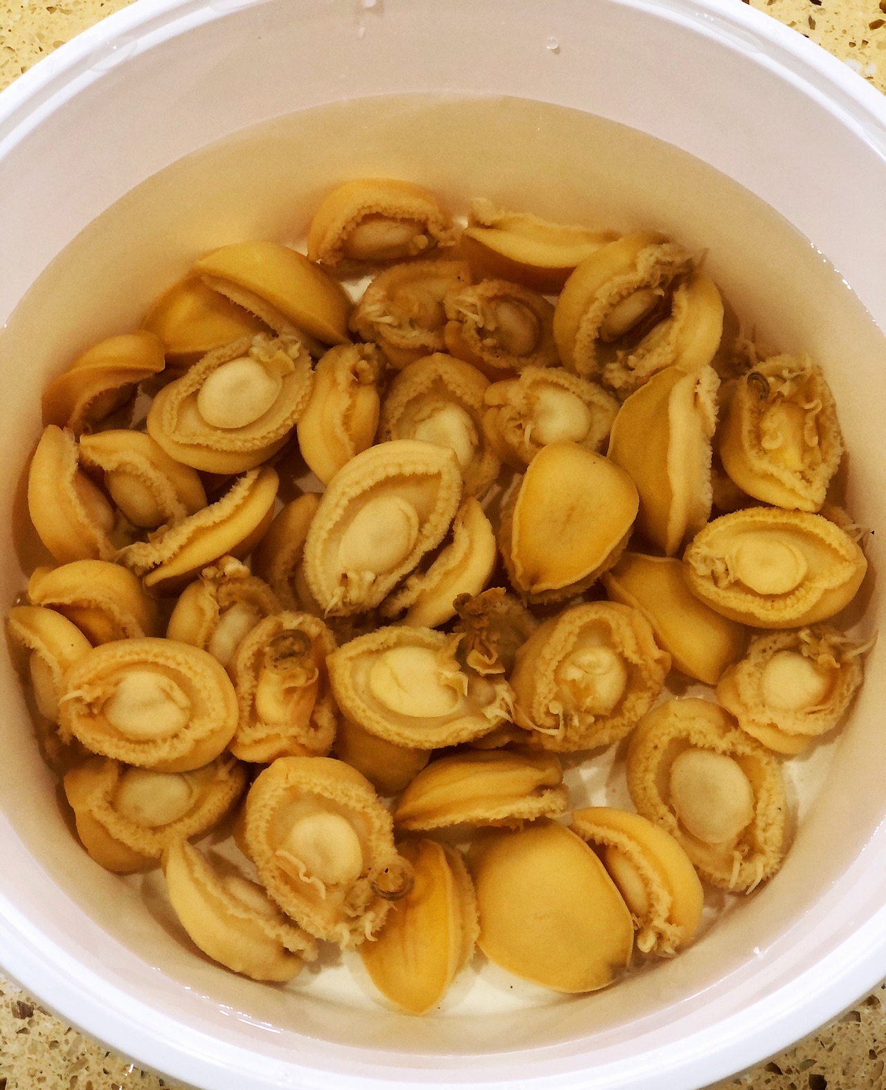 干鲍鱼焖鲜鲍鱼