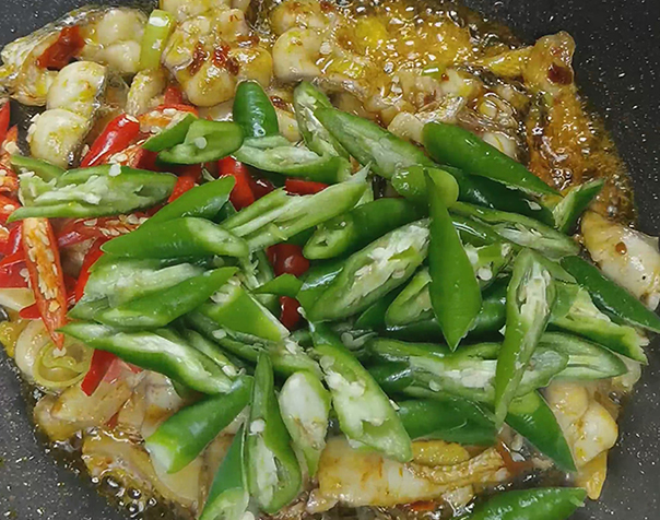 干拨财鱼