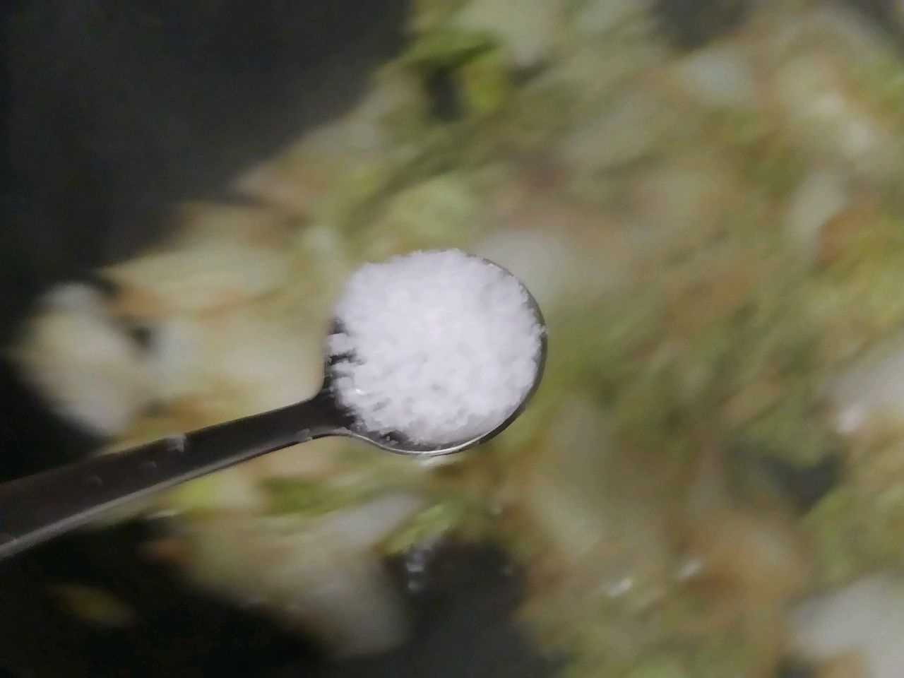 感恩节里的醋熘白菜，保持初心
