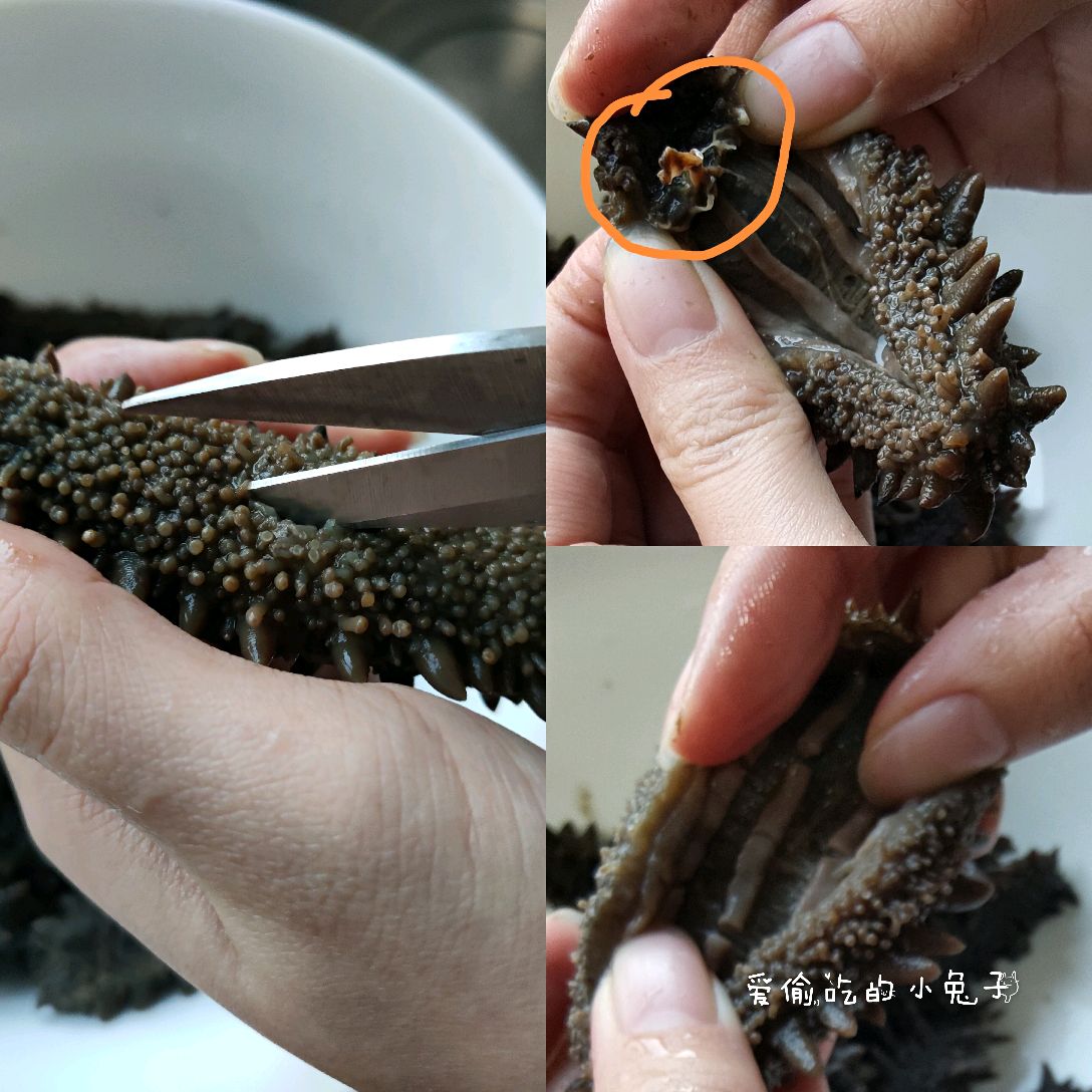 干海参泡发