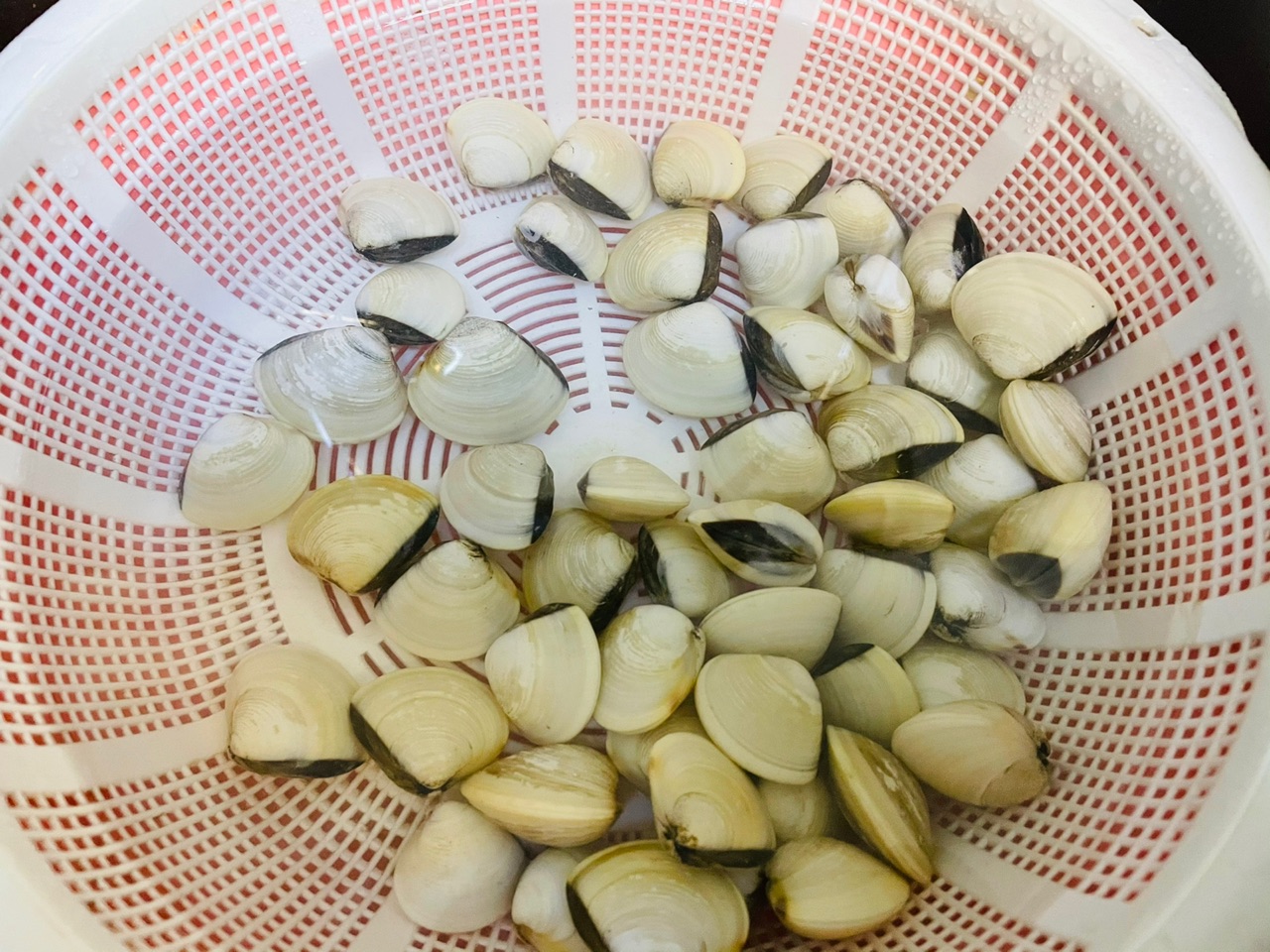 蛤蜊蒸肉