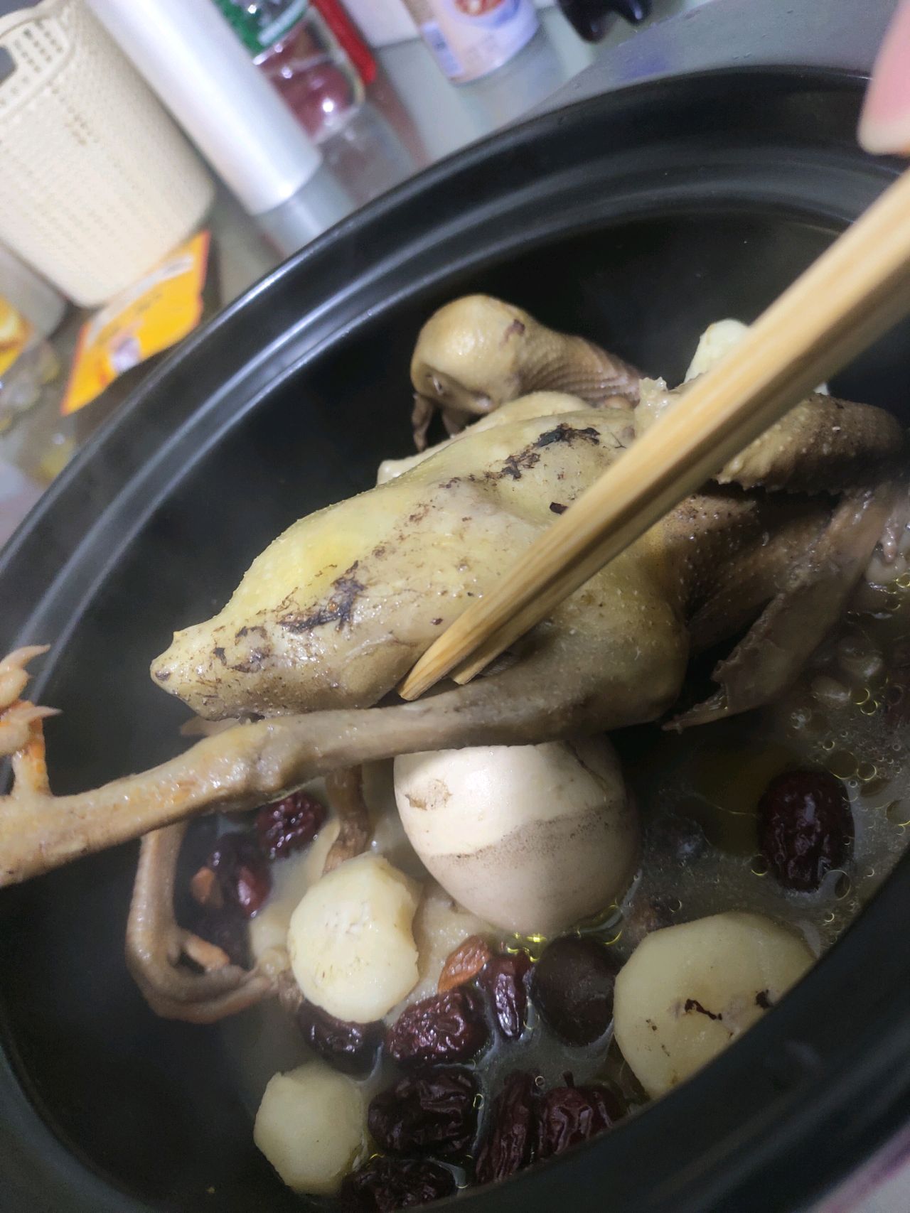 鸽子鲍鱼