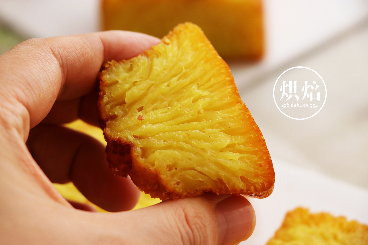 广东糕王黄金糕