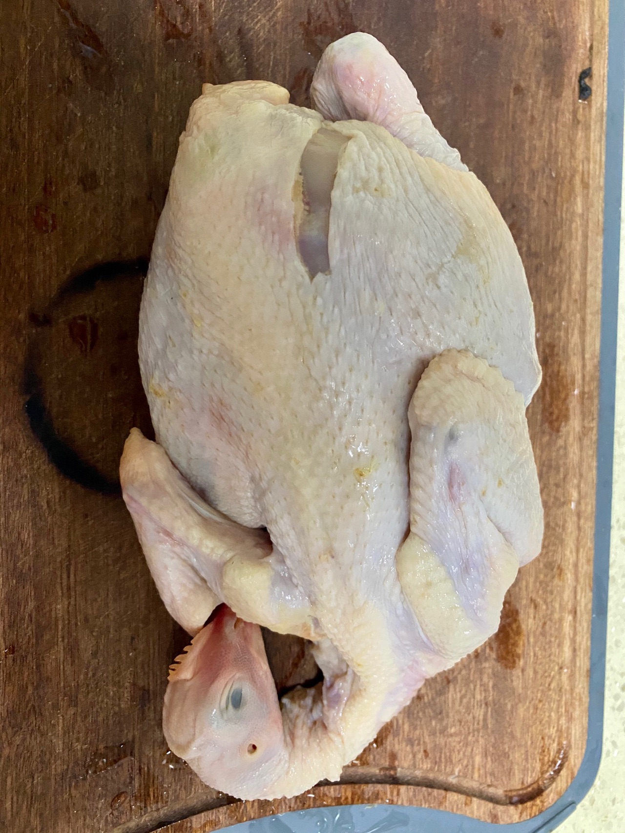 广东名菜-鲍鱼鸡煲