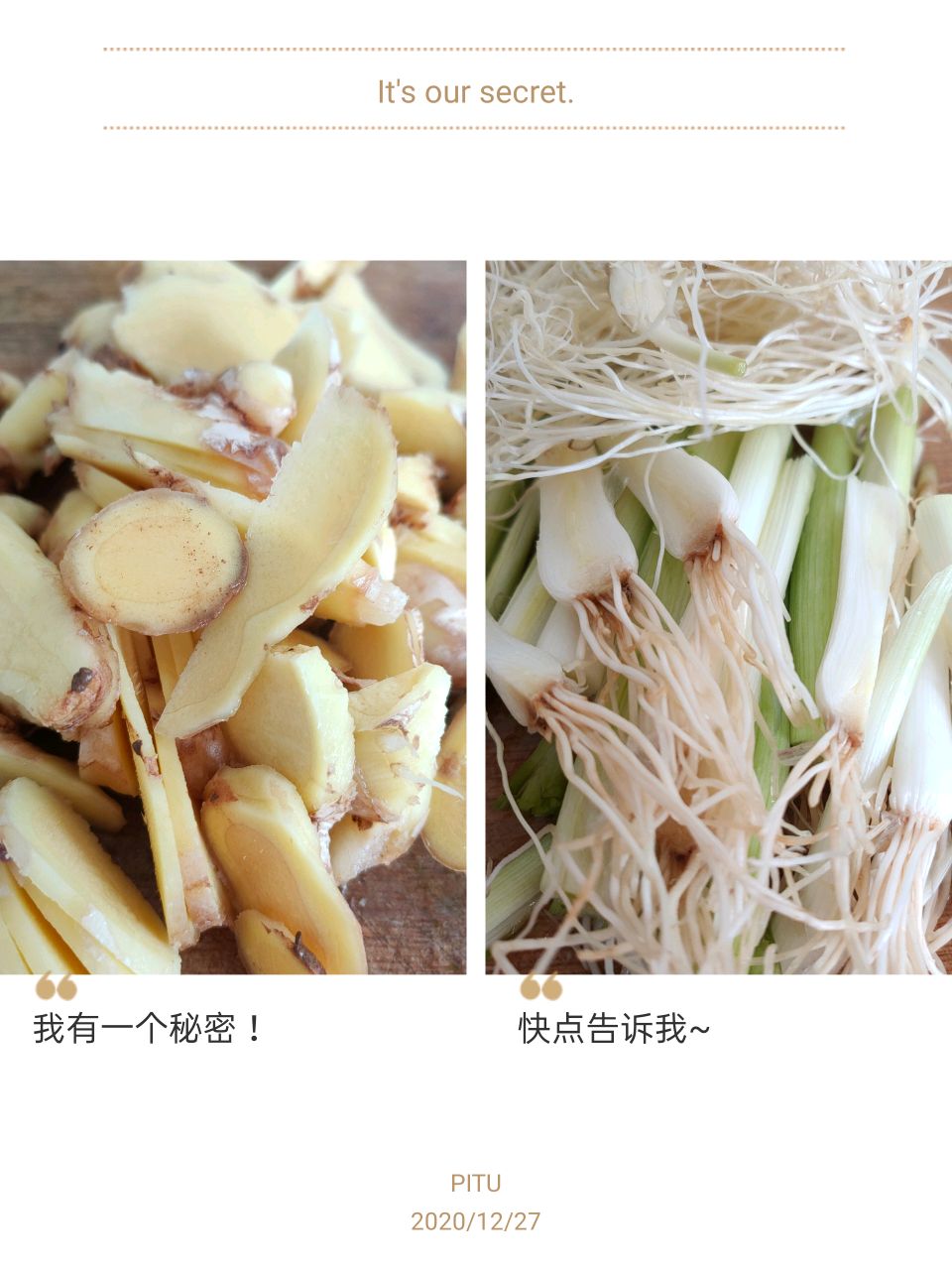 广西油茶