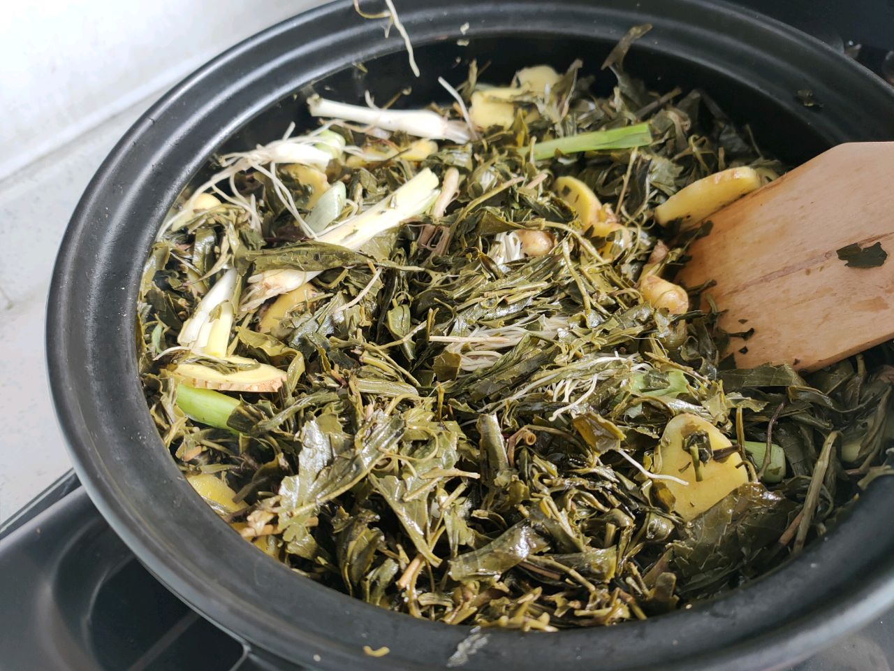 广西油茶